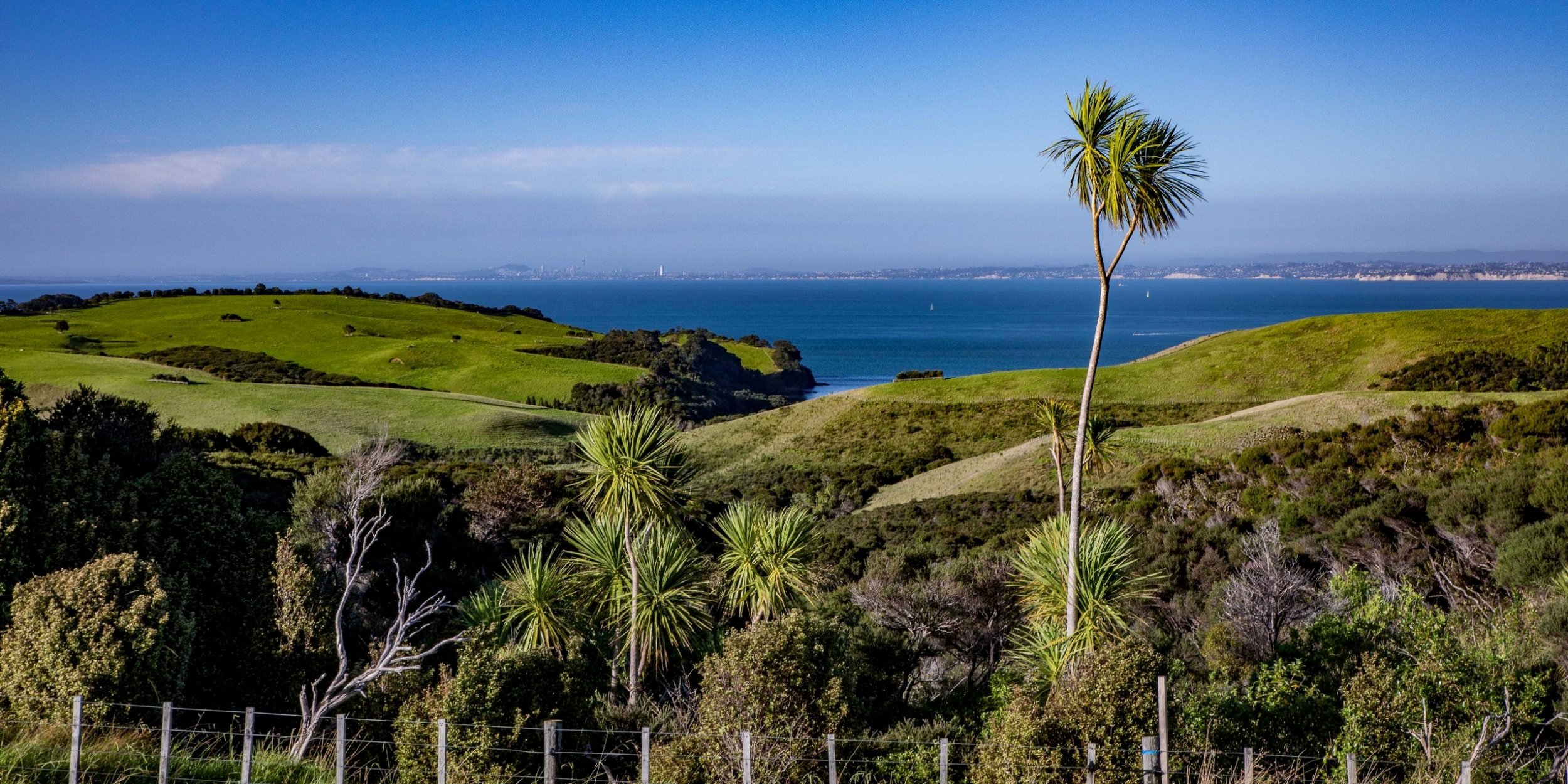 Shakespear Regional Park,-842.JPG