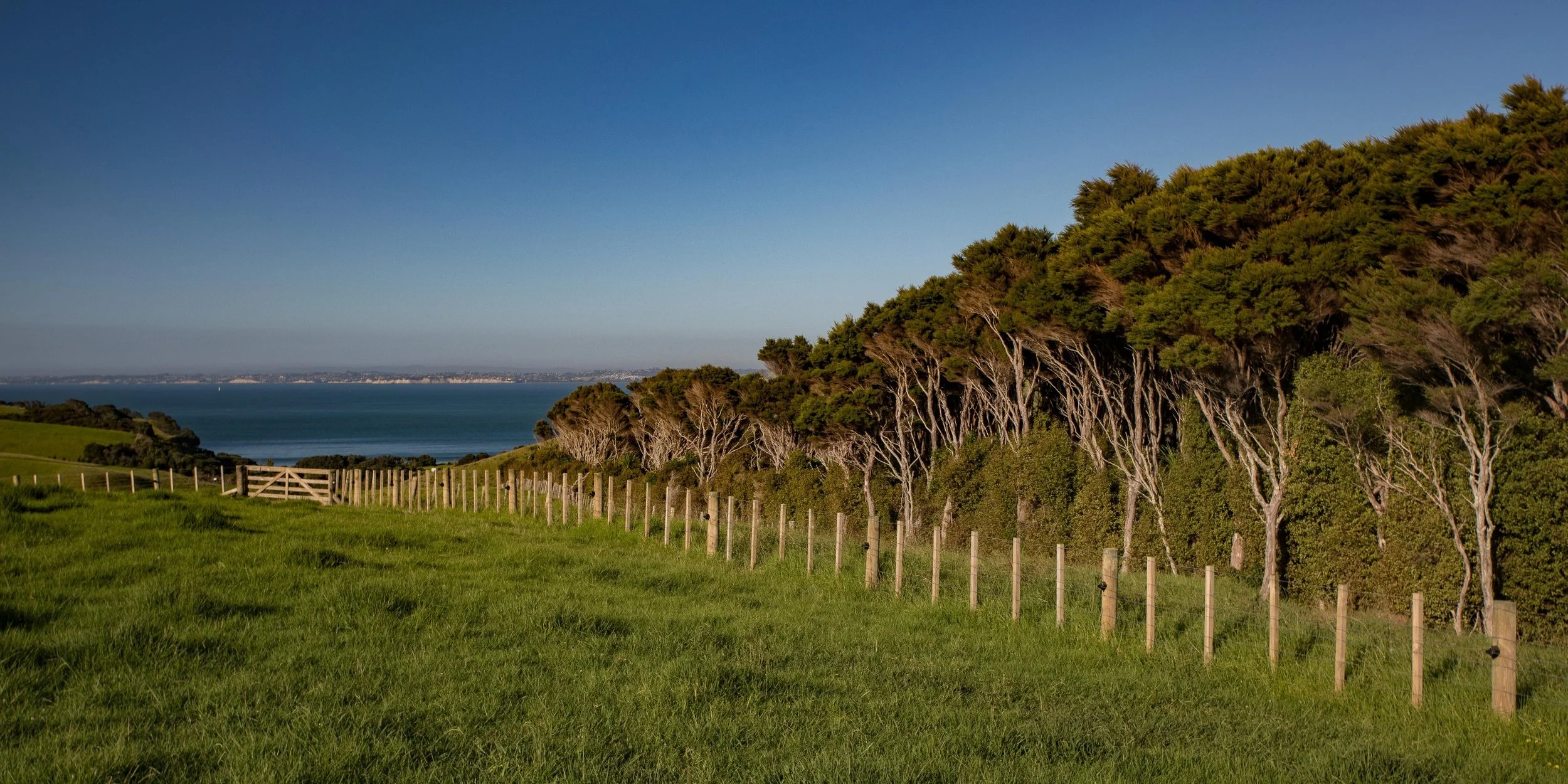 Shakespear Regional Park,-845.JPG