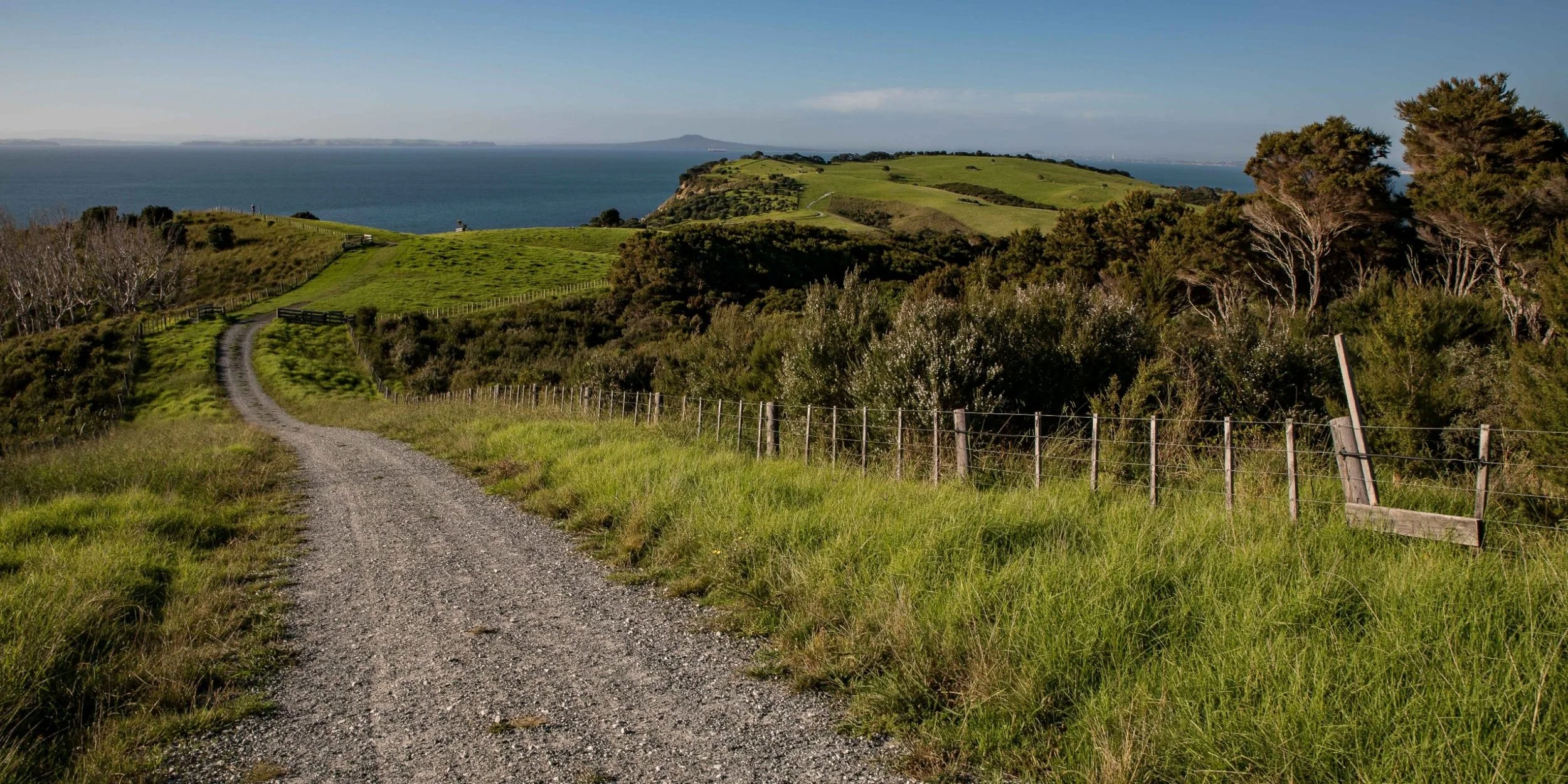Shakespear Regional Park,-844.JPG