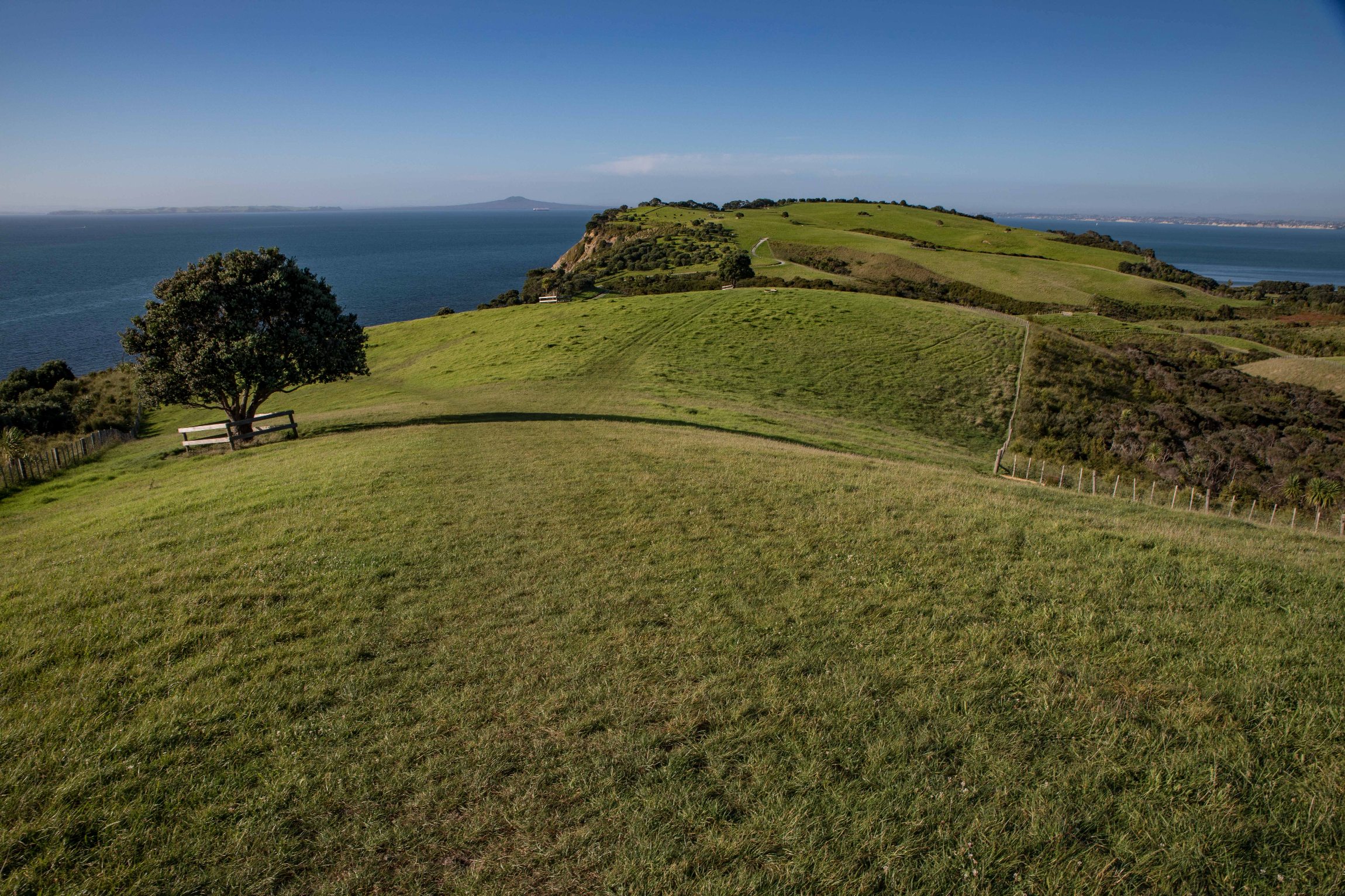Shakespear Regional Park,-852.JPG