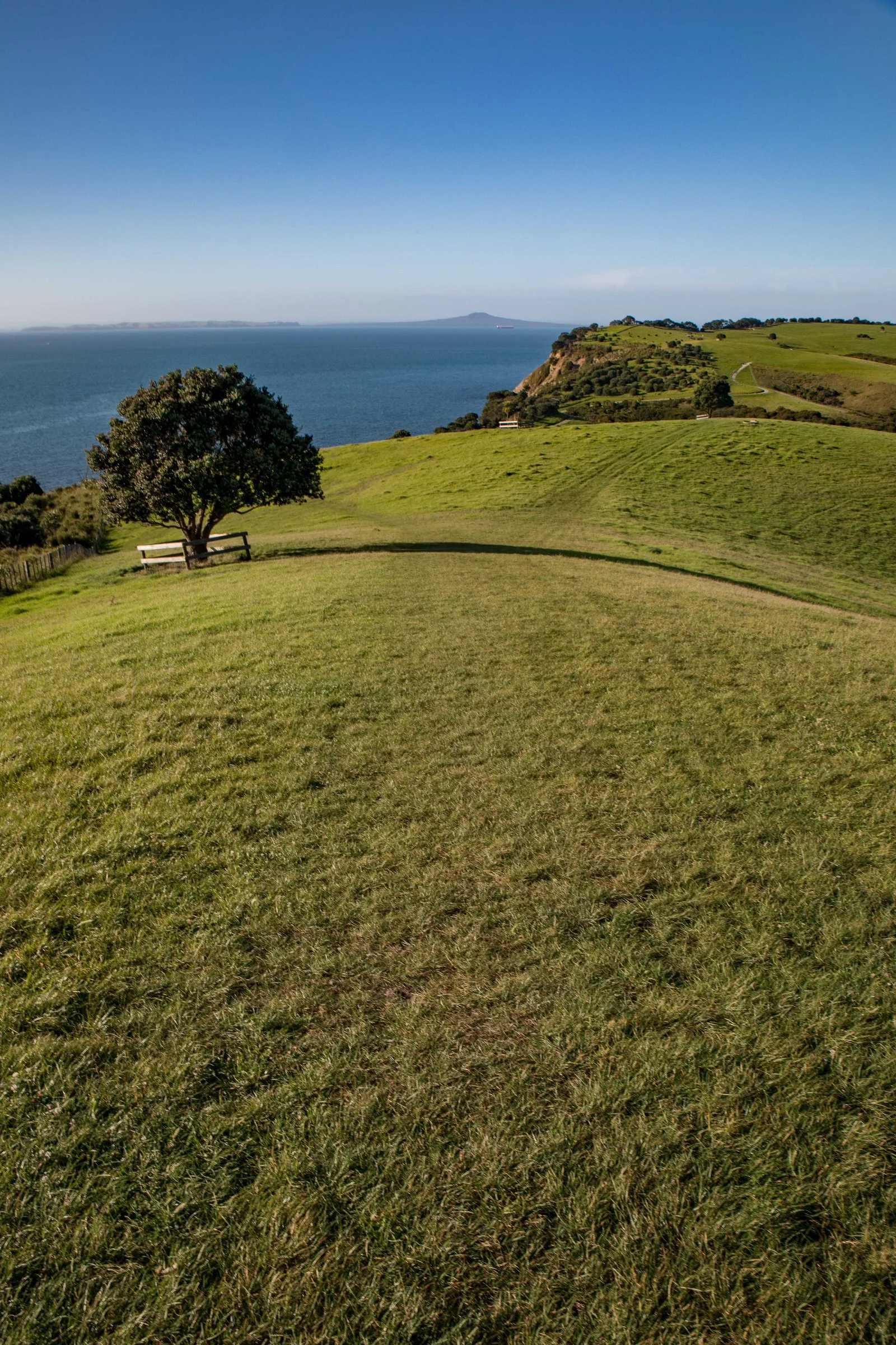 Shakespear Regional Park,-850.JPG