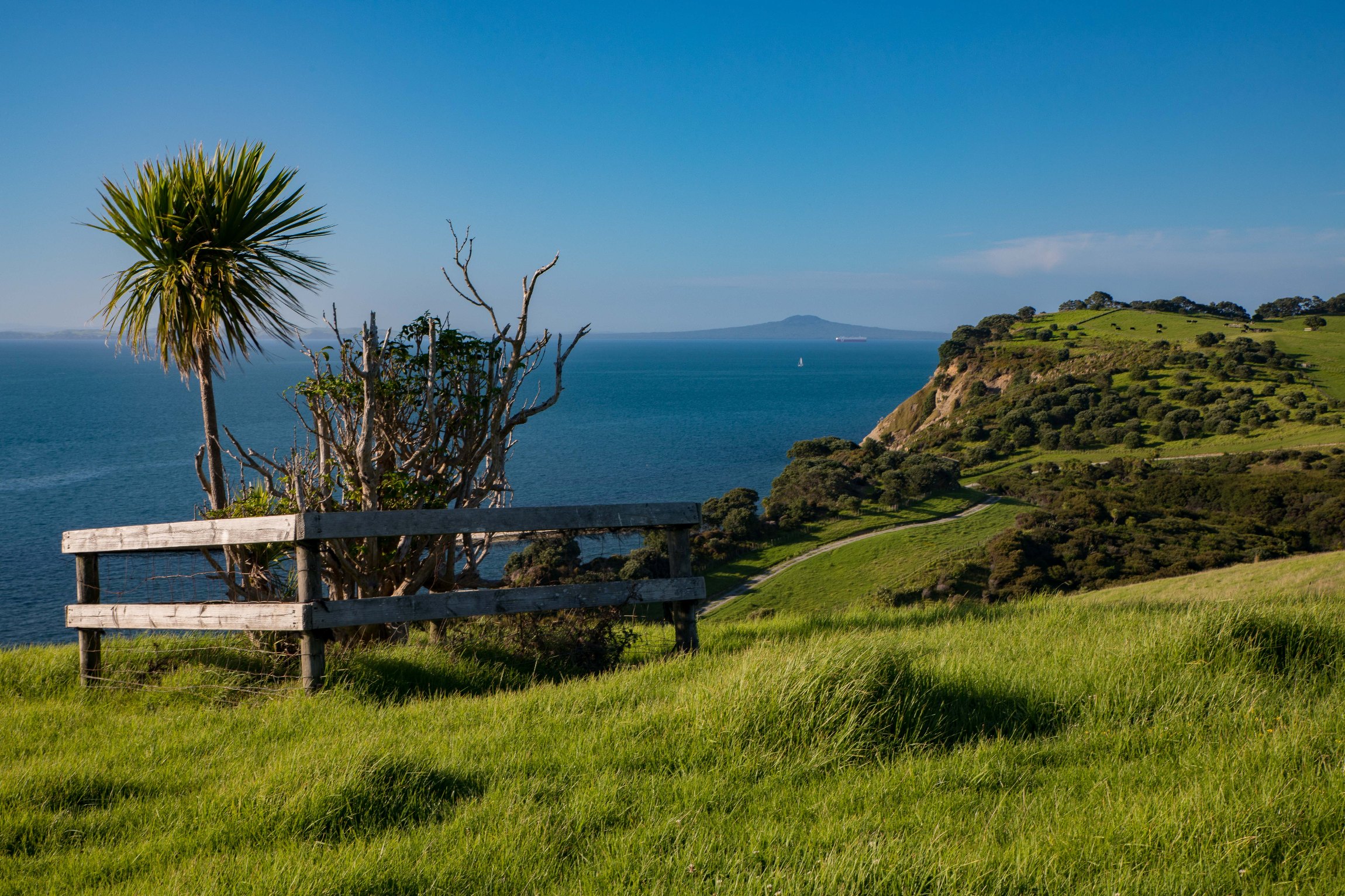 Shakespear Regional Park,-853.JPG