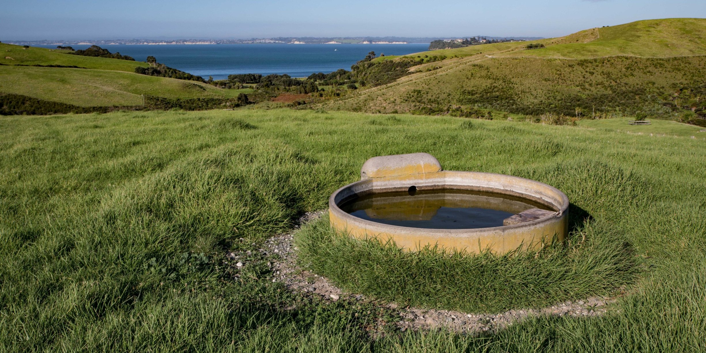 Shakespear Regional Park,-855.JPG