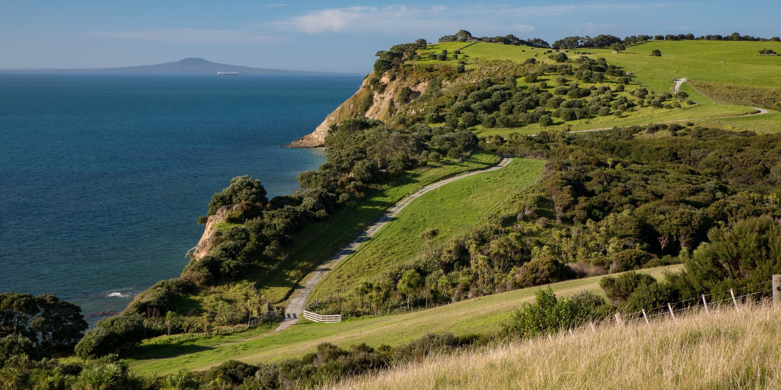 Shakespear Regional Park,-857.JPG