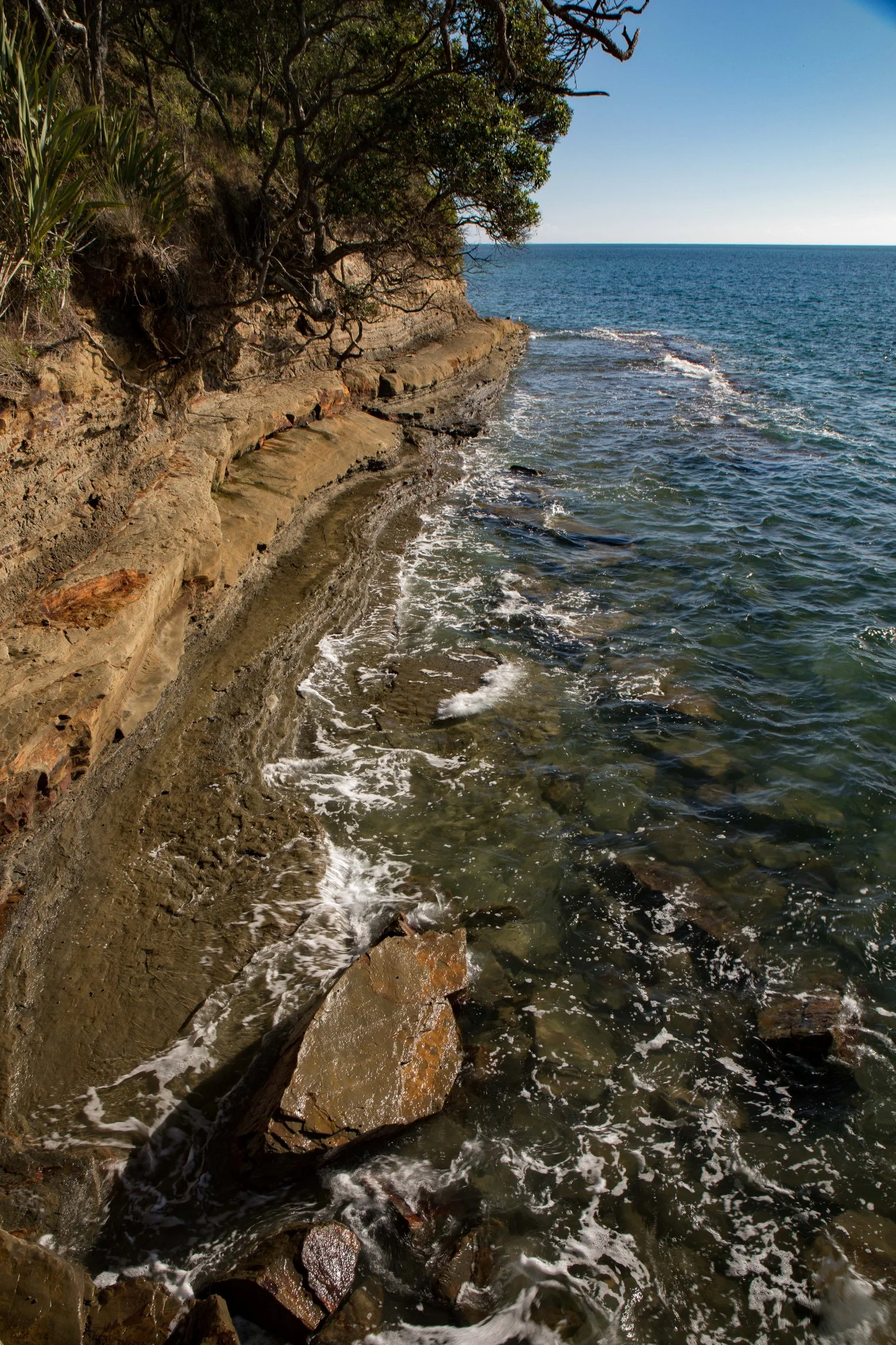 Shakespear Regional Park,-860.JPG