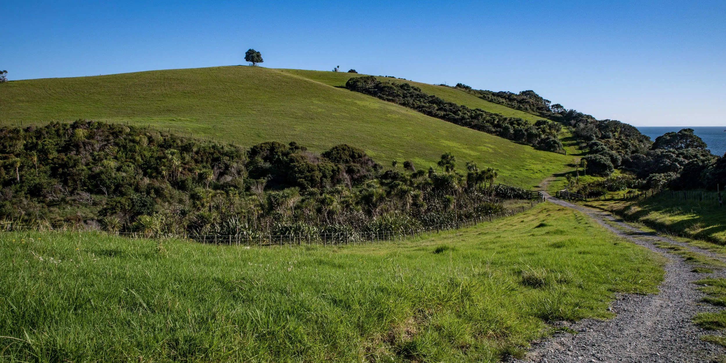 Shakespear Regional Park,-865.JPG