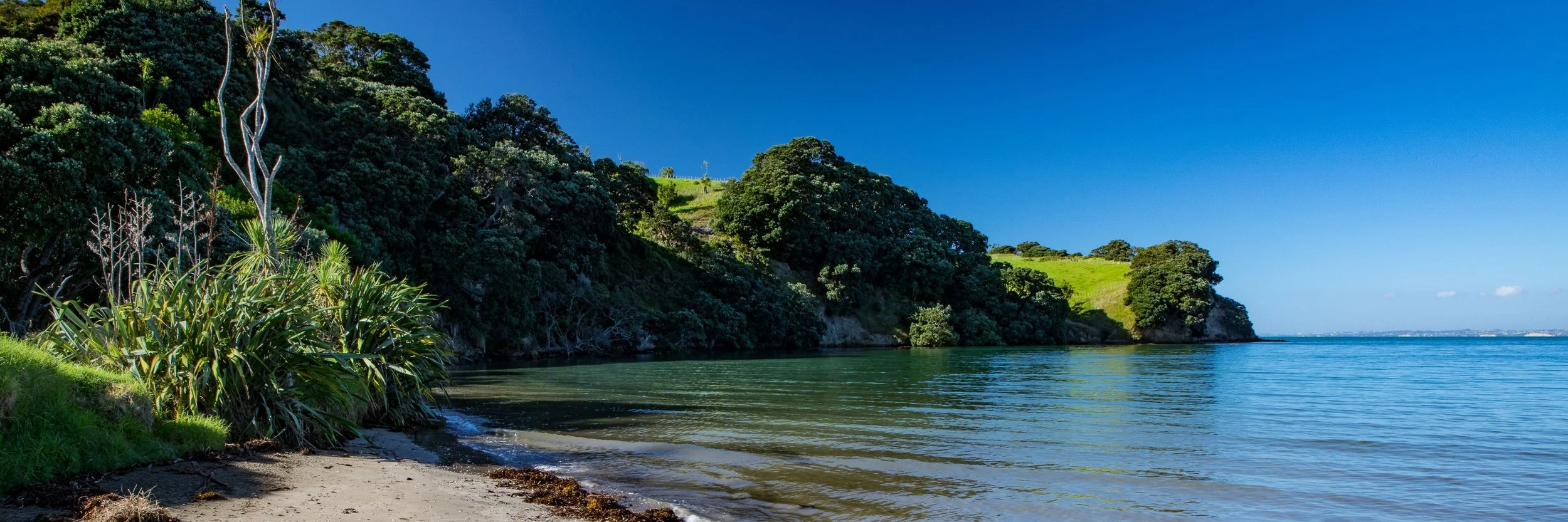 Shakespear Regional Park,Te Haruhi Bay,-872.JPG
