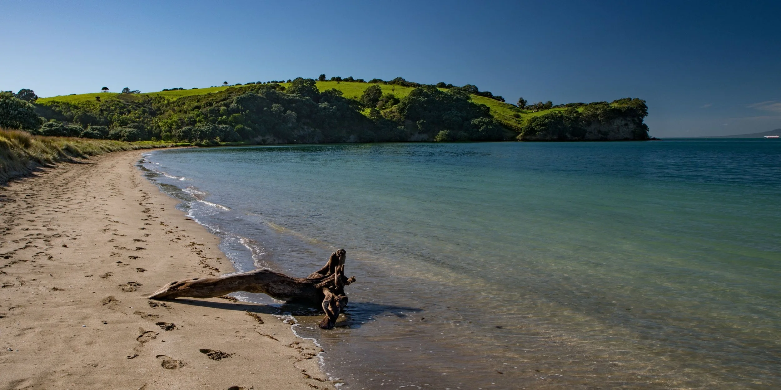 Shakespear Regional Park,Te Haruhi Bay,-876.JPG
