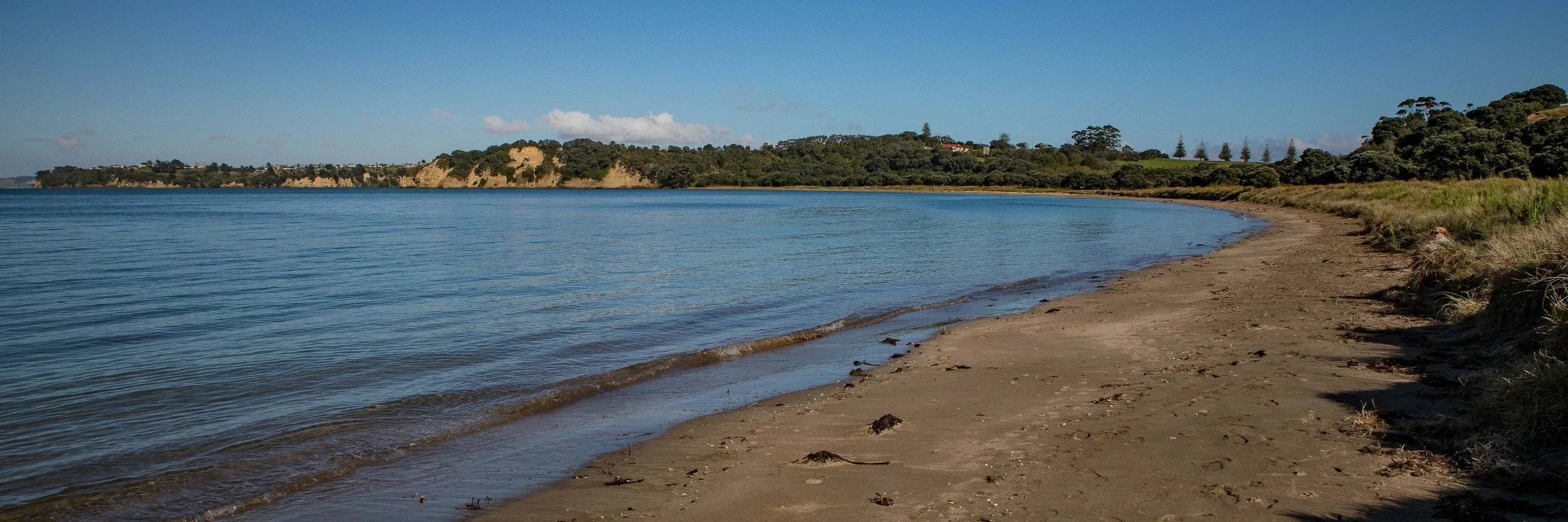 Shakespear Regional Park,Te Haruhi Bay,-873.JPG