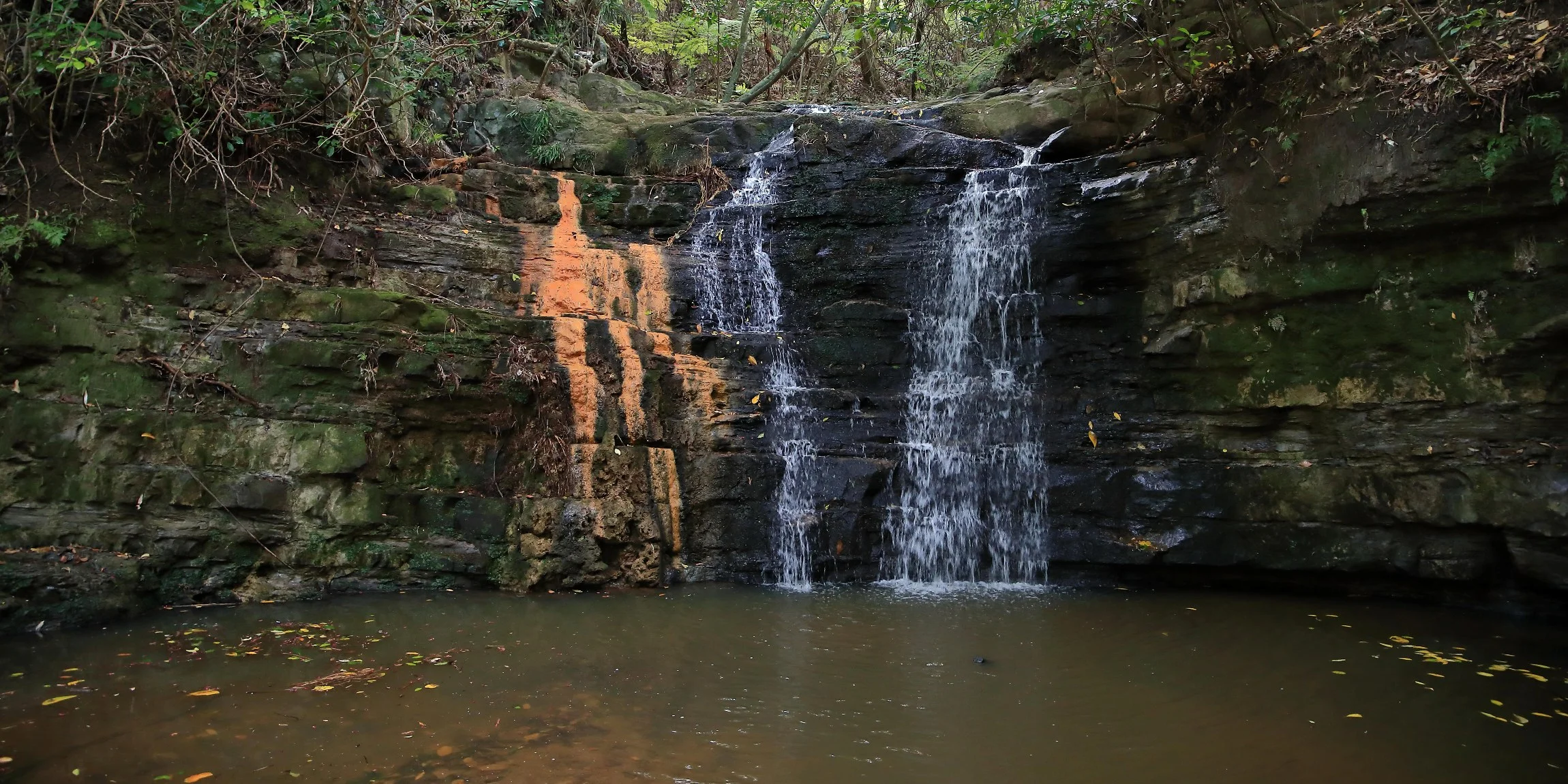 Waterfall, Shakespear,-084.JPG