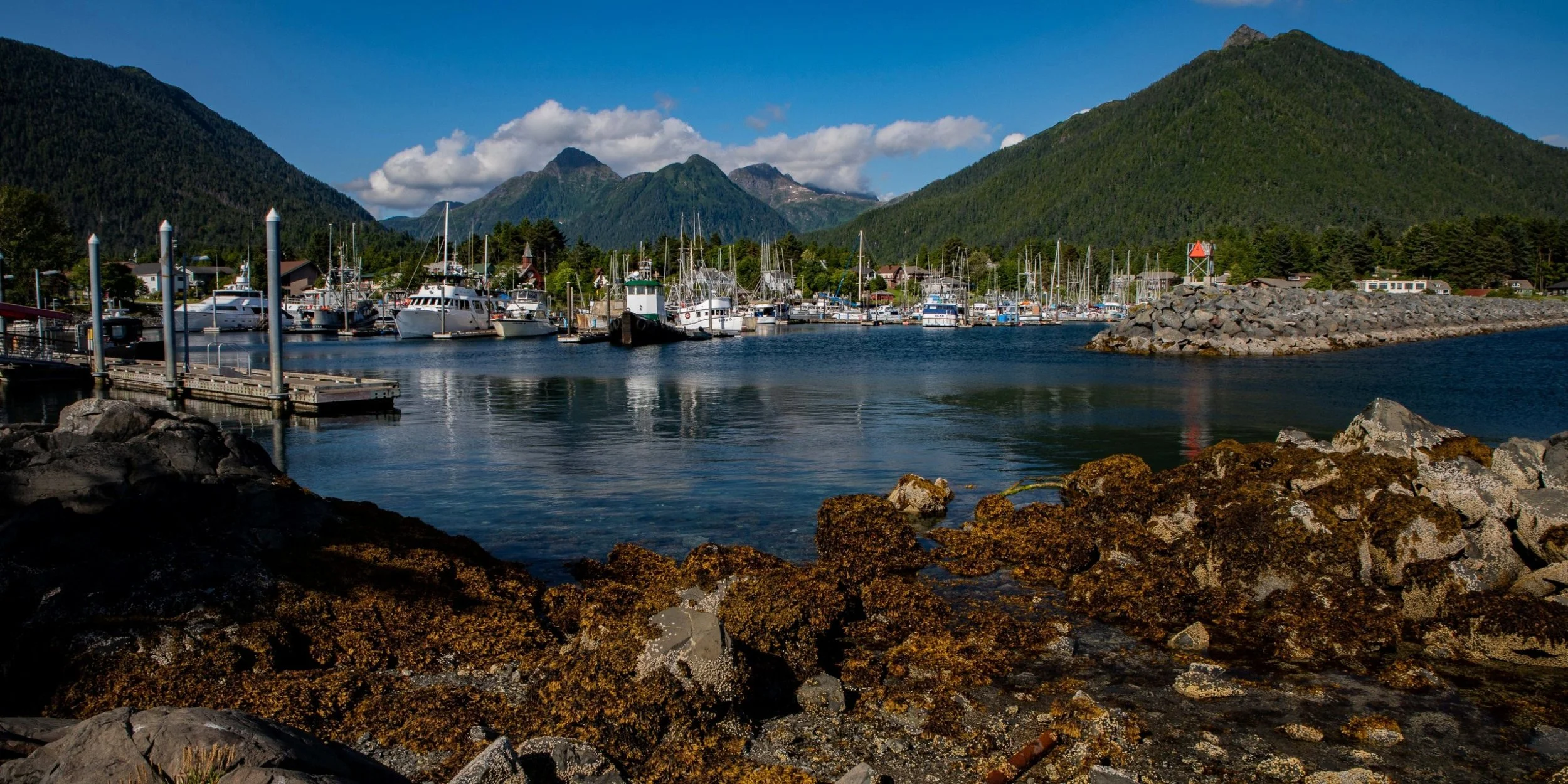 Alaska,Sitka,-181a.JPG