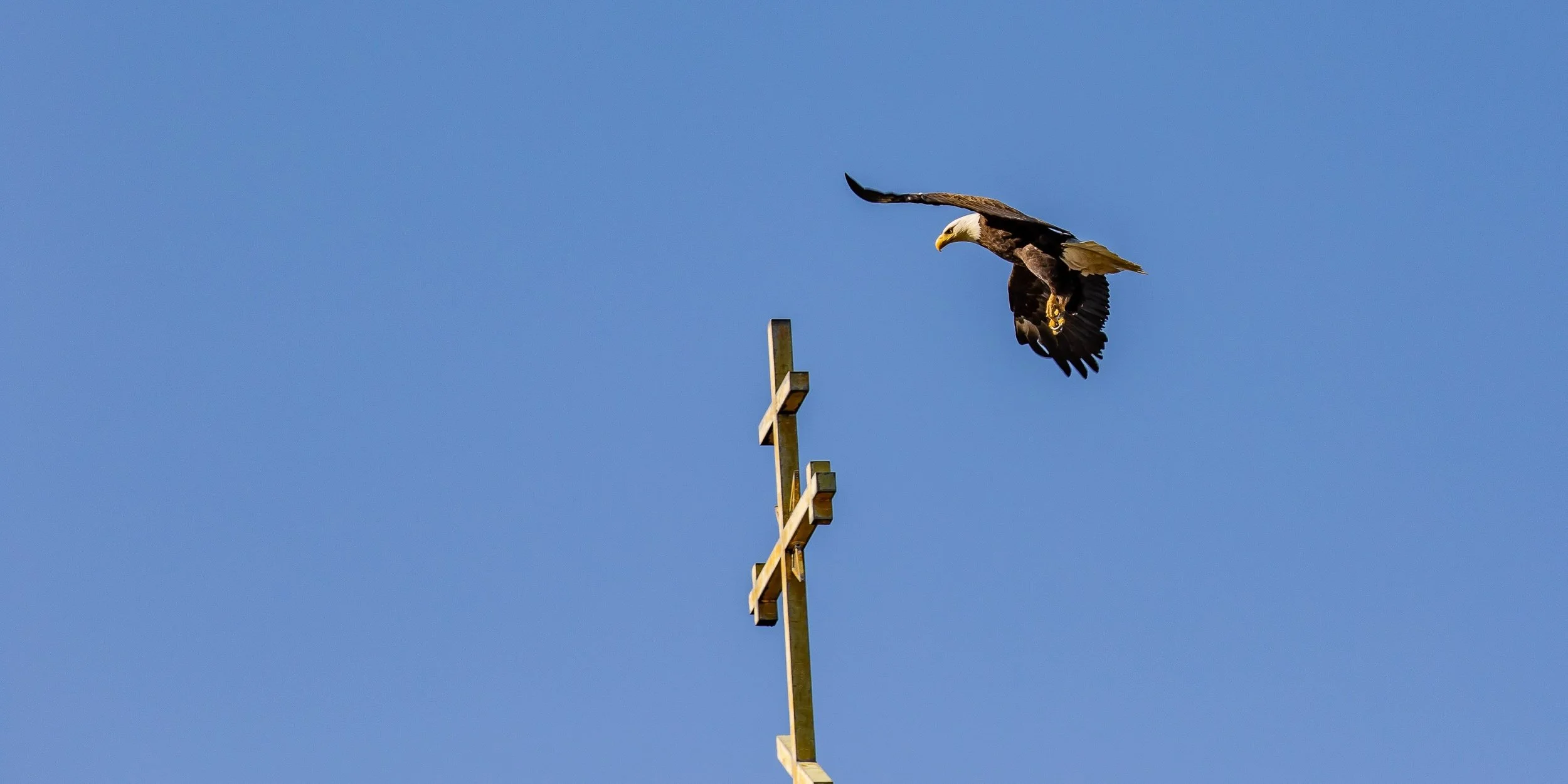 Alaska,Sitka,Russian Orthodox Church & Bald Eagle,-168.JPG