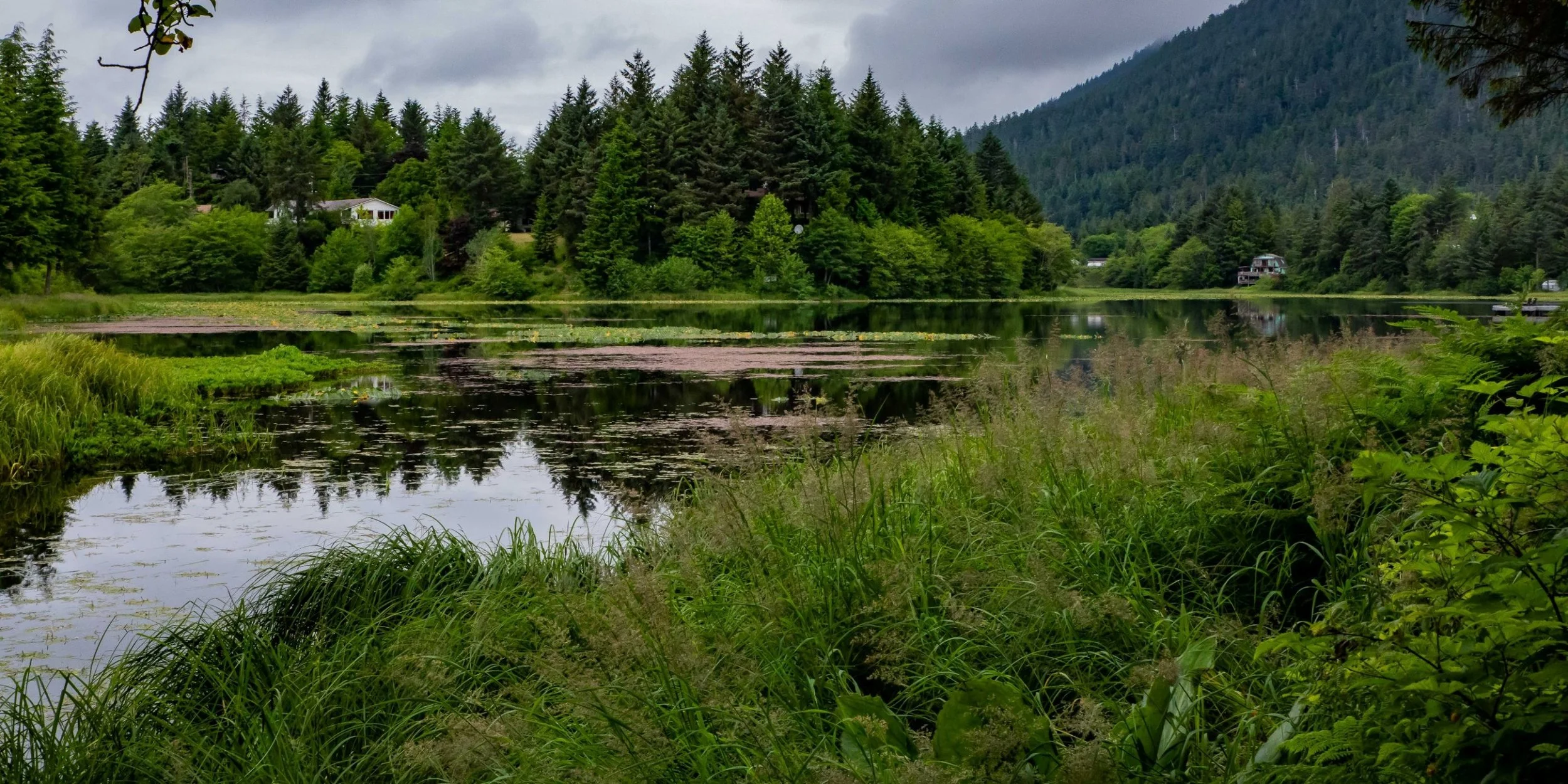 Alaska,Sitka,Swan Lake,-266a.JPG