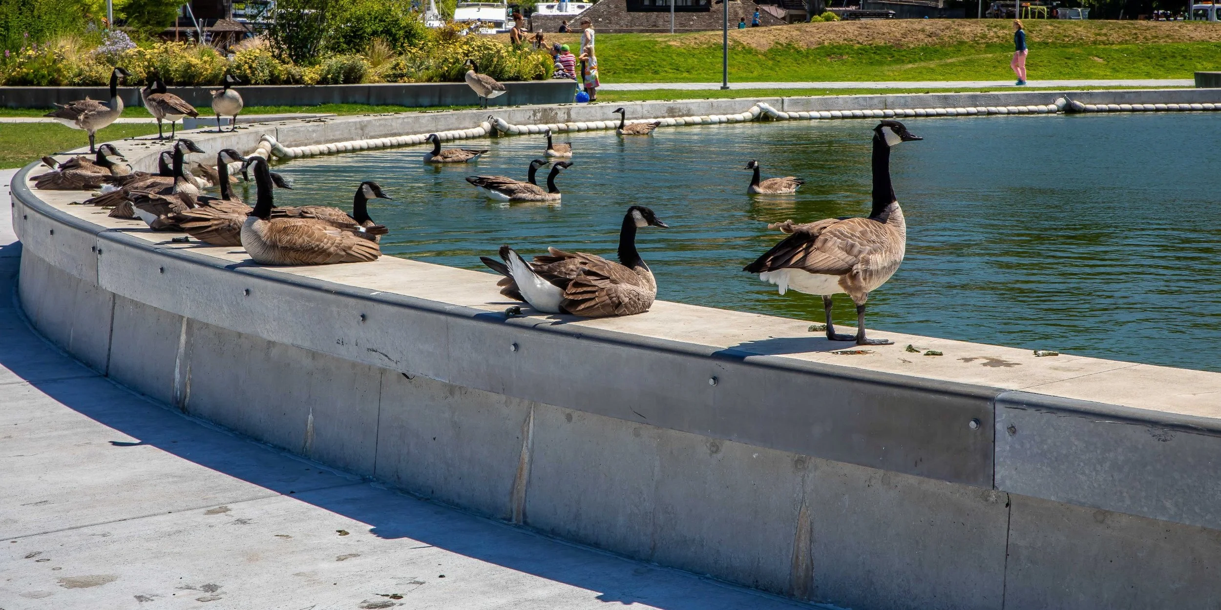 Seattle,Lake Union,MOHAI,-071a.JPG