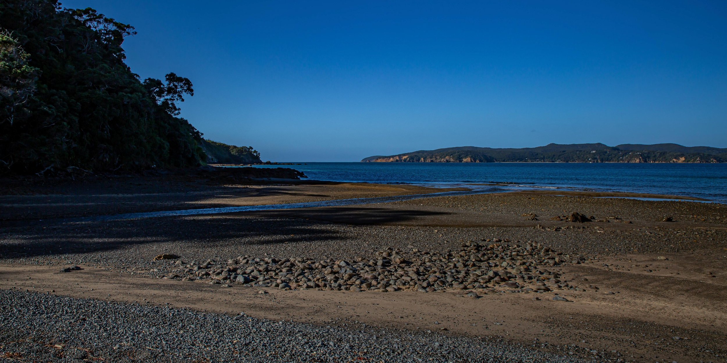 Tawharanui,-050.JPG