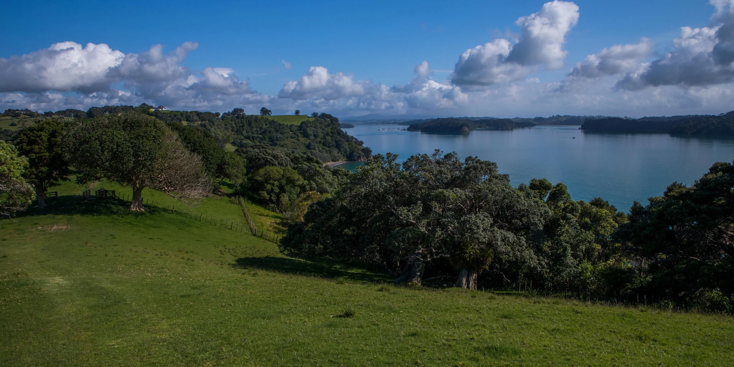 Mahurangi Regional park,-007.JPG