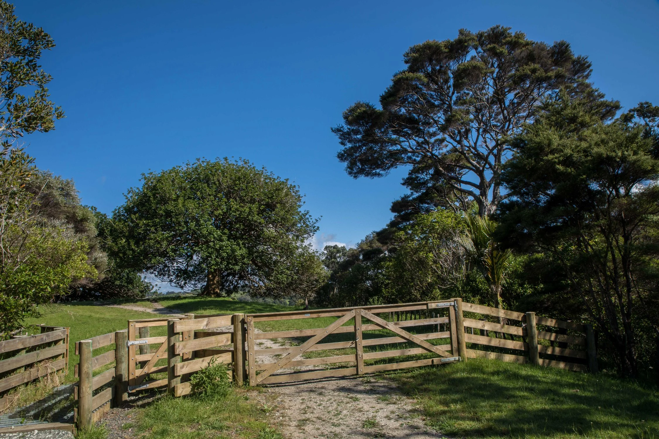 Mahurangi Regional park,-016.JPG
