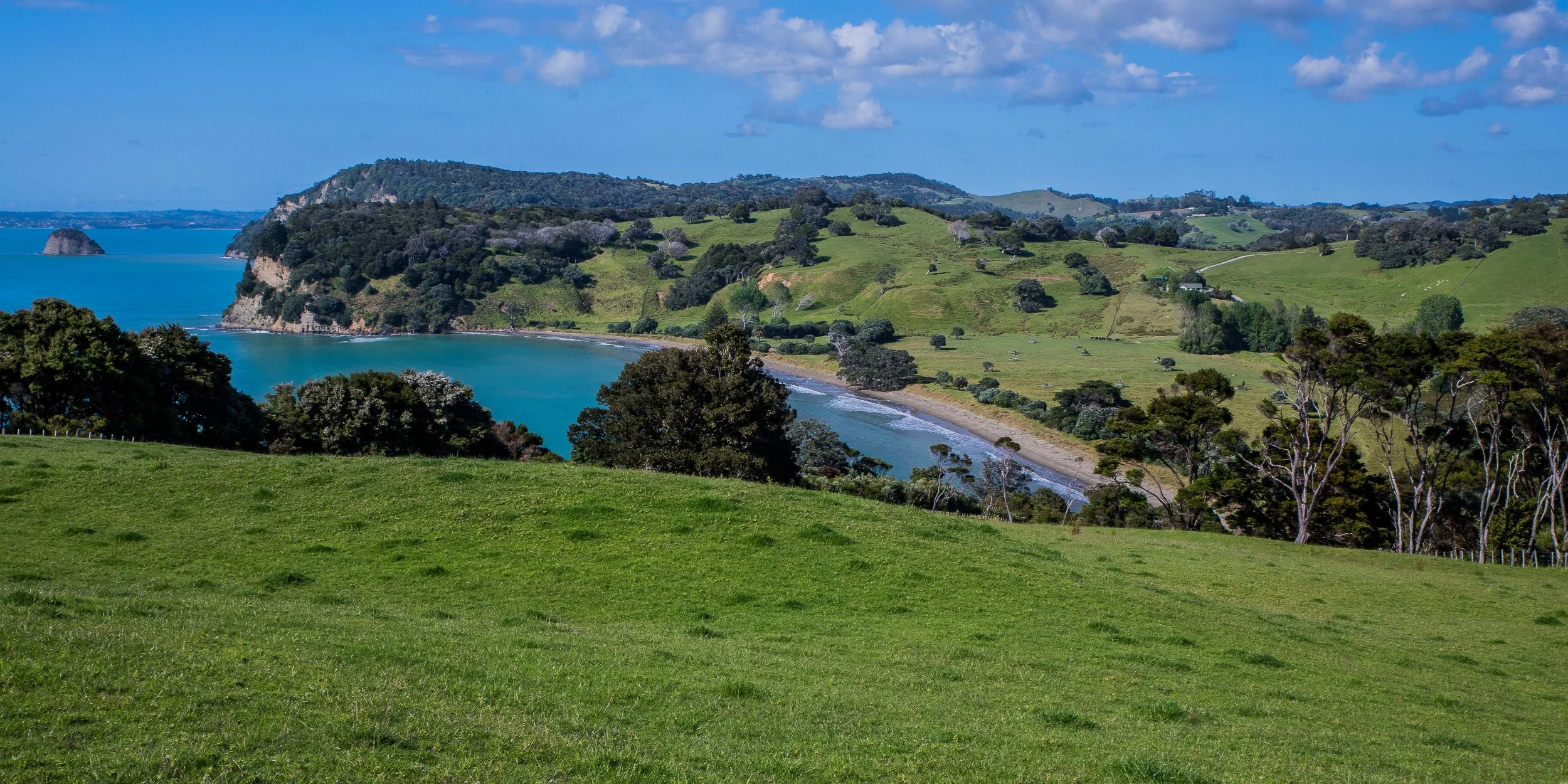 Mahurangi Regional park,-018.JPG