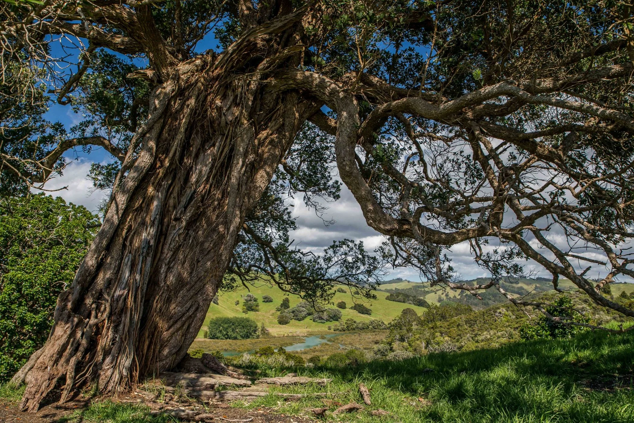 Mahurangi Regional park,-024.JPG