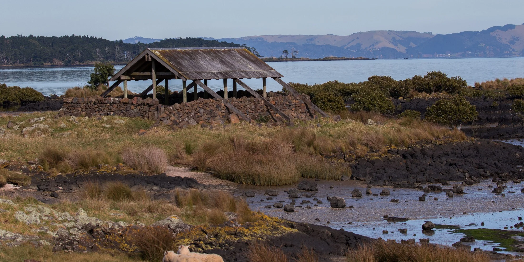 Ambury Regional  Park,-4553.JPG