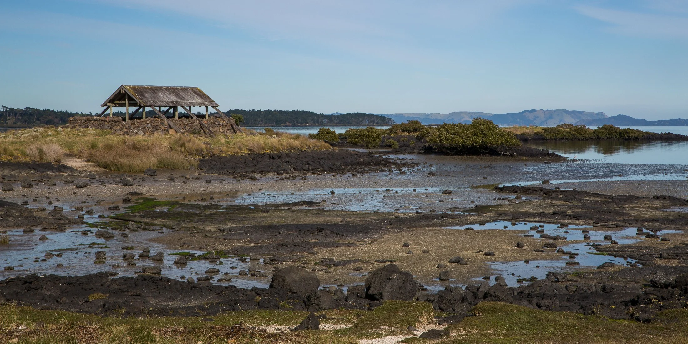 Ambury Regional  Park,-6120.JPG
