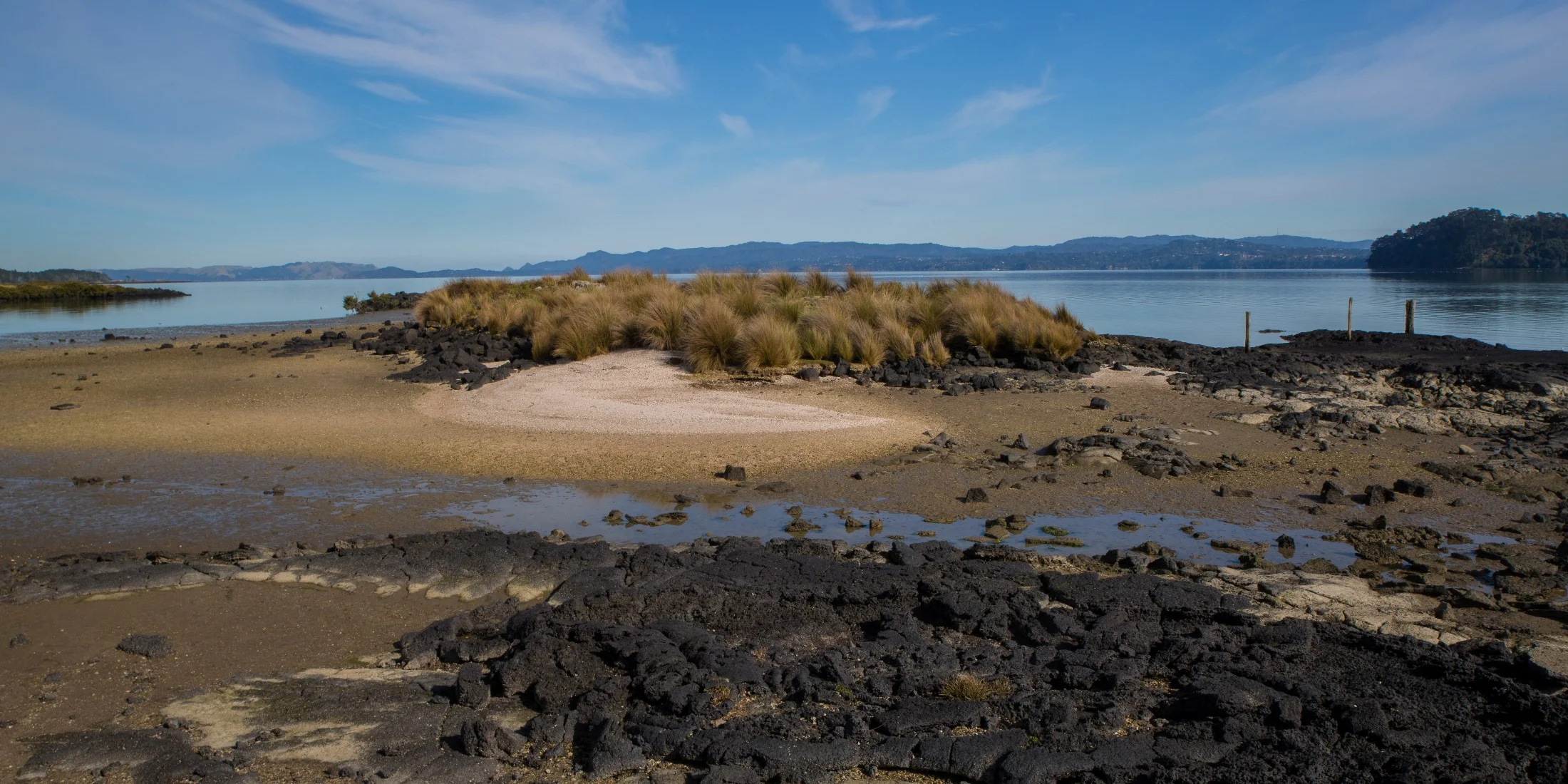 Ambury Regional  Park,-6122.JPG
