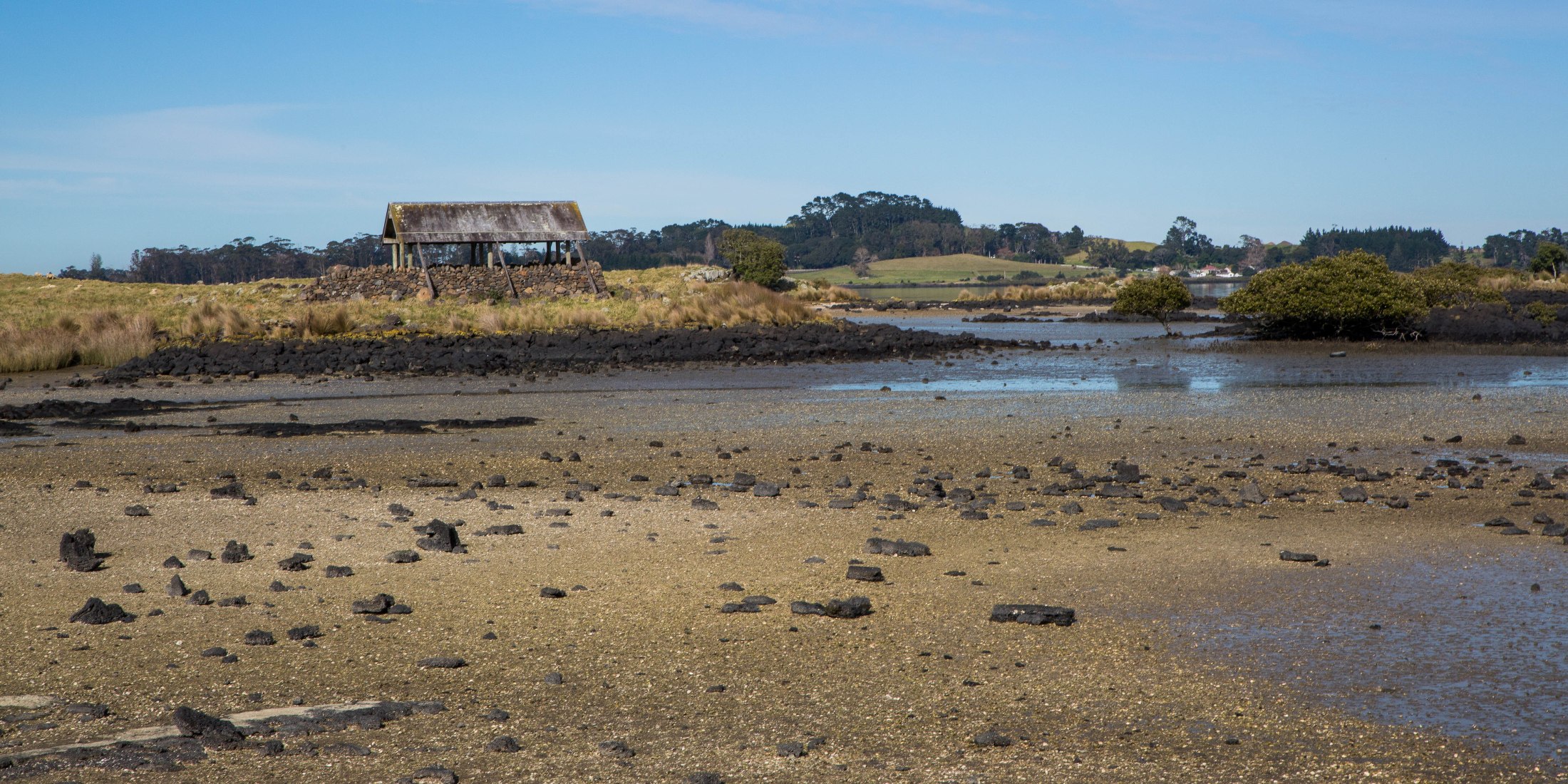Ambury Regional  Park,-6124.JPG