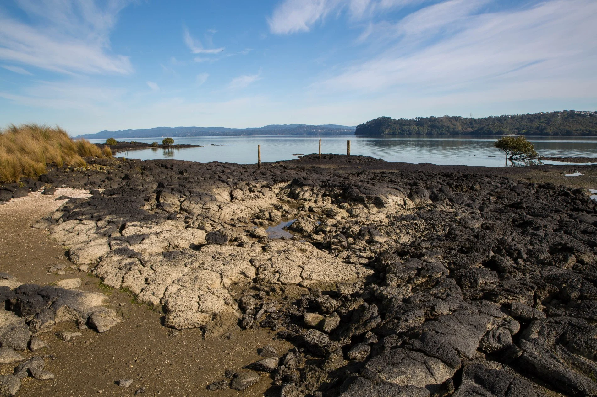 Ambury Regional  Park,-6125.JPG