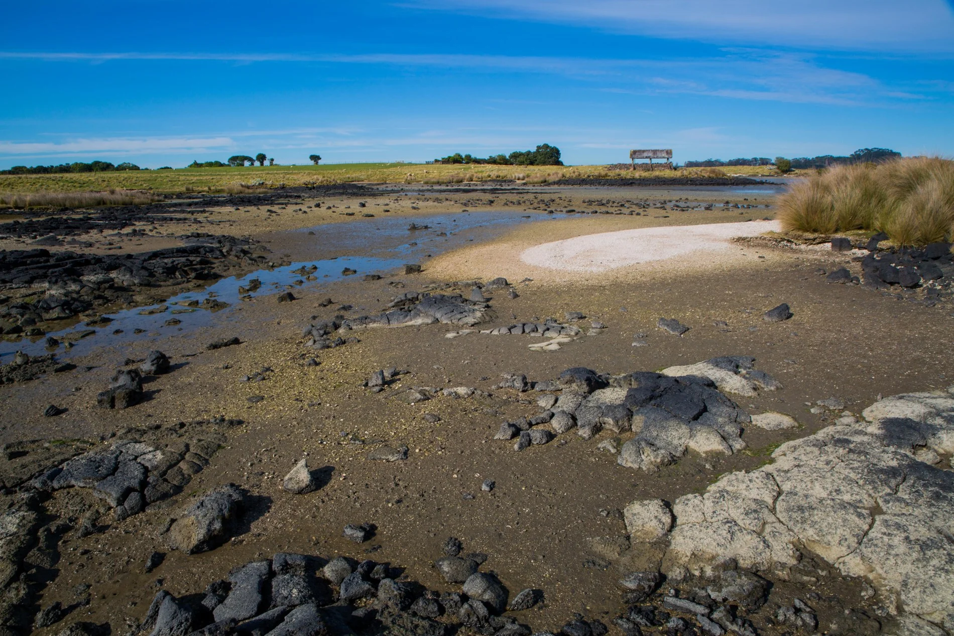 Ambury Regional  Park,-6127.JPG