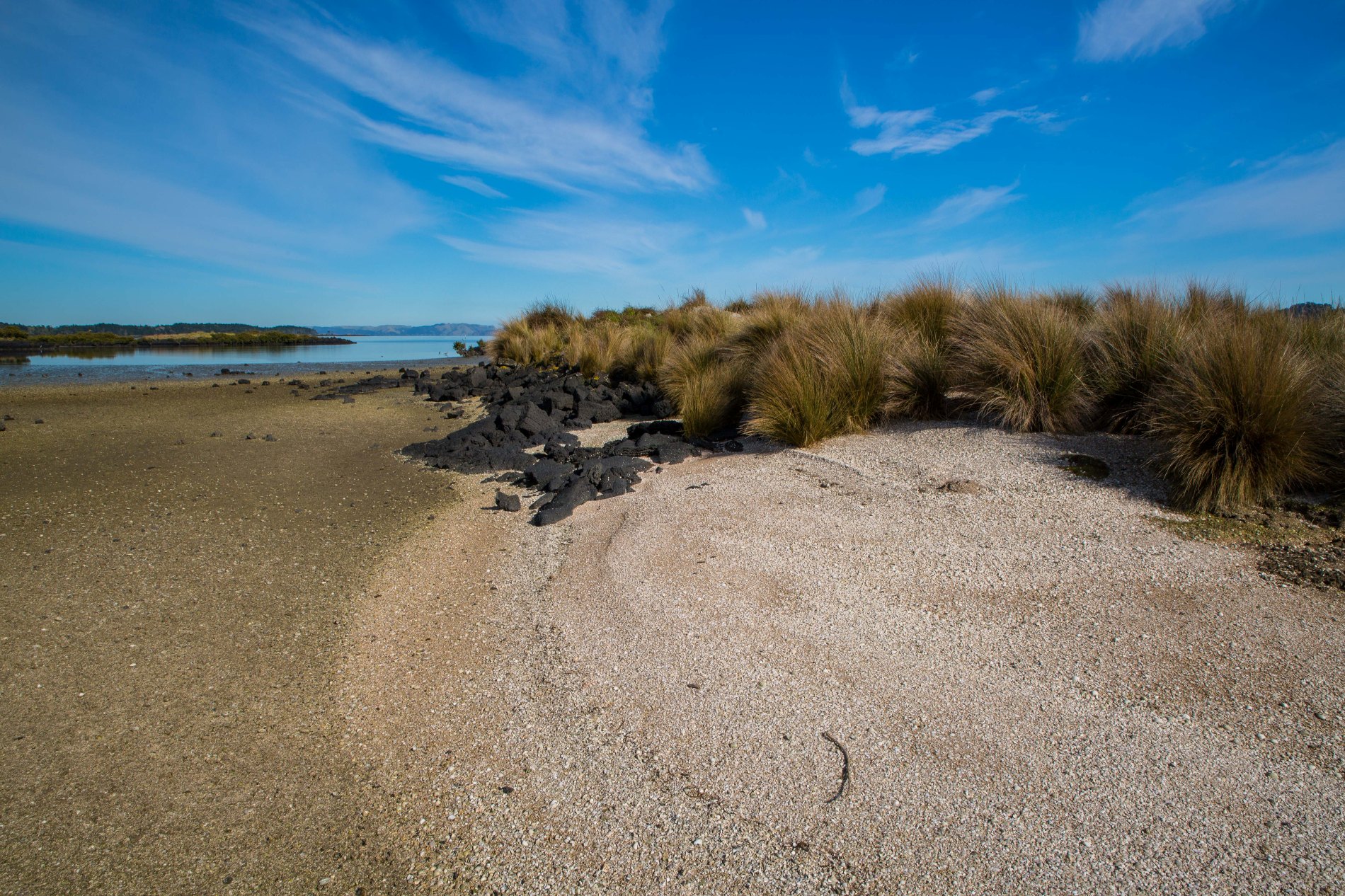 Ambury Regional  Park,-6133.JPG