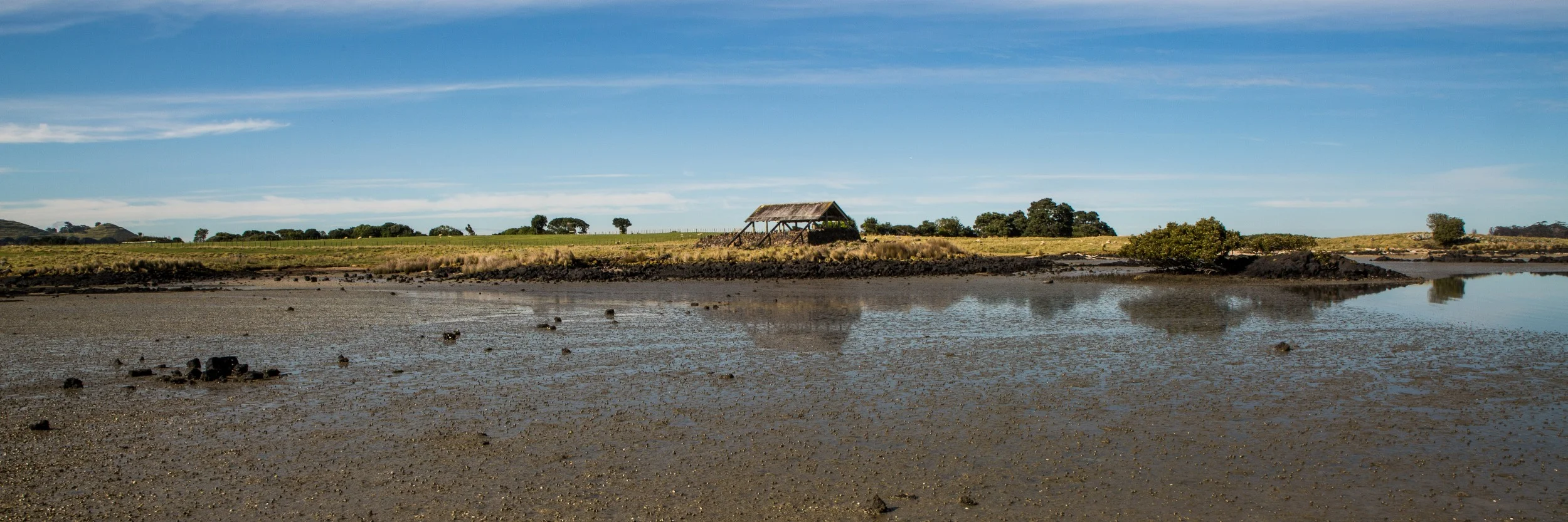 Ambury Regional  Park,-6137.JPG