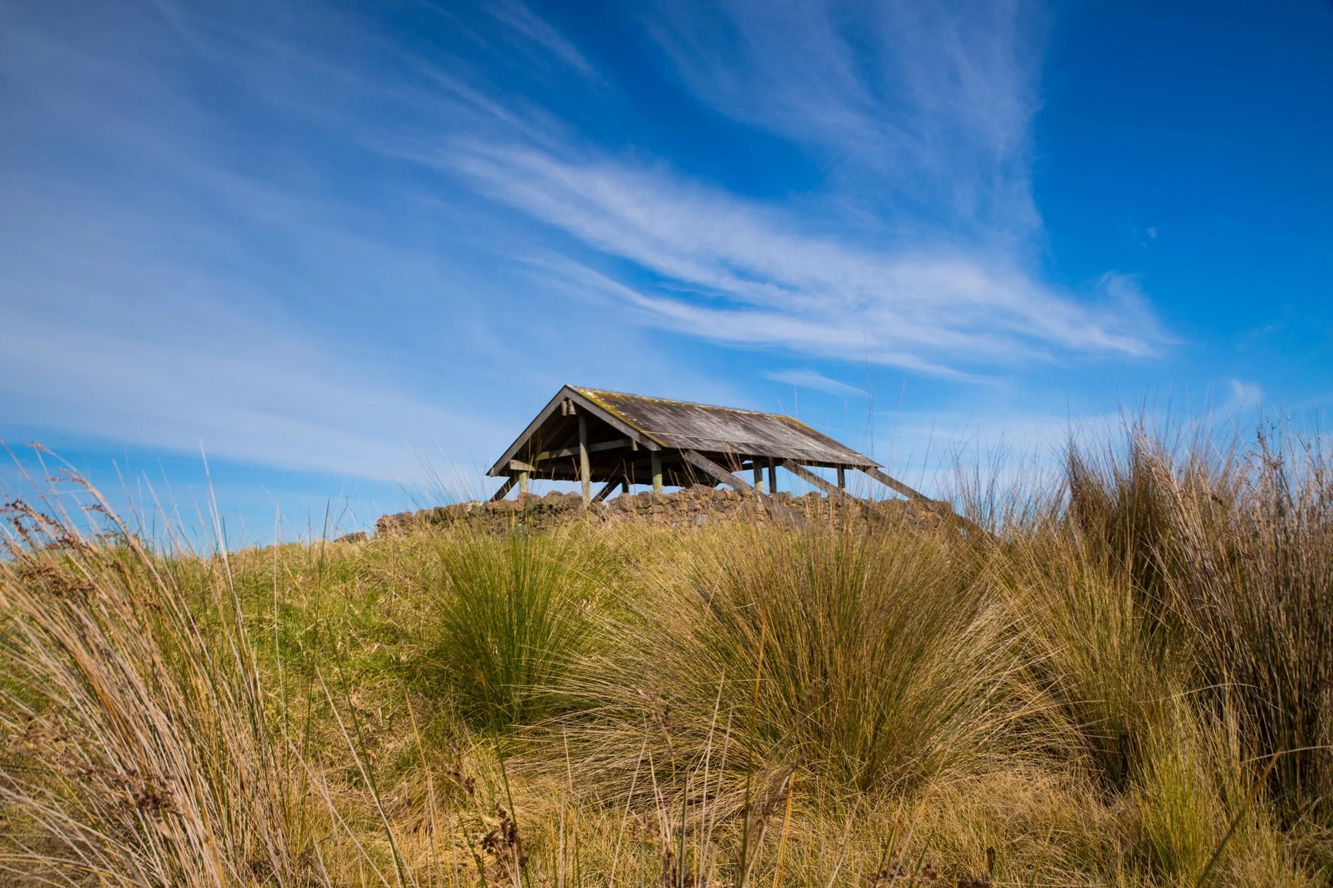 Ambury Regional  Park,-6142.JPG