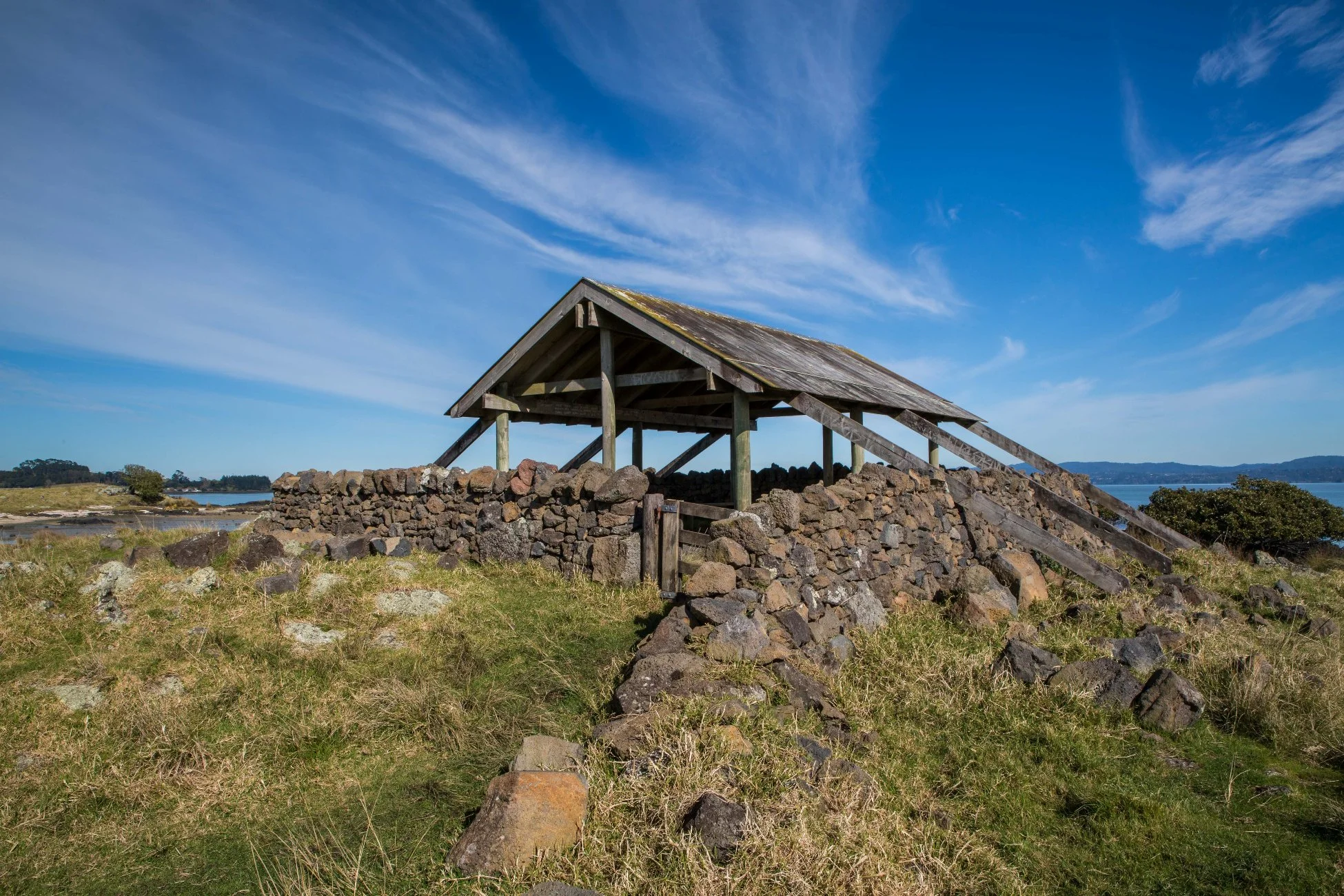 Ambury Regional  Park,-6143.JPG