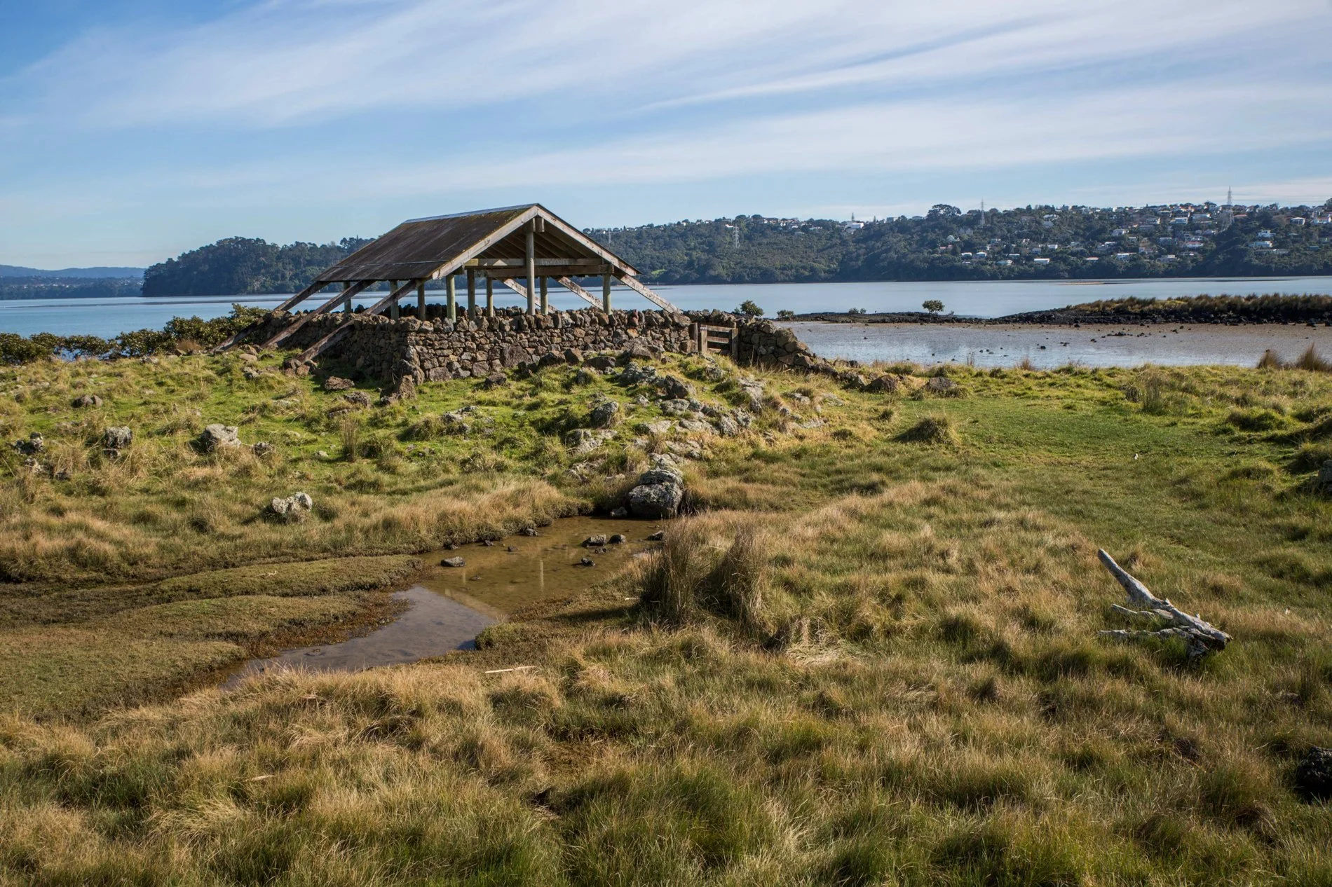 Ambury Regional  Park,-6148.JPG
