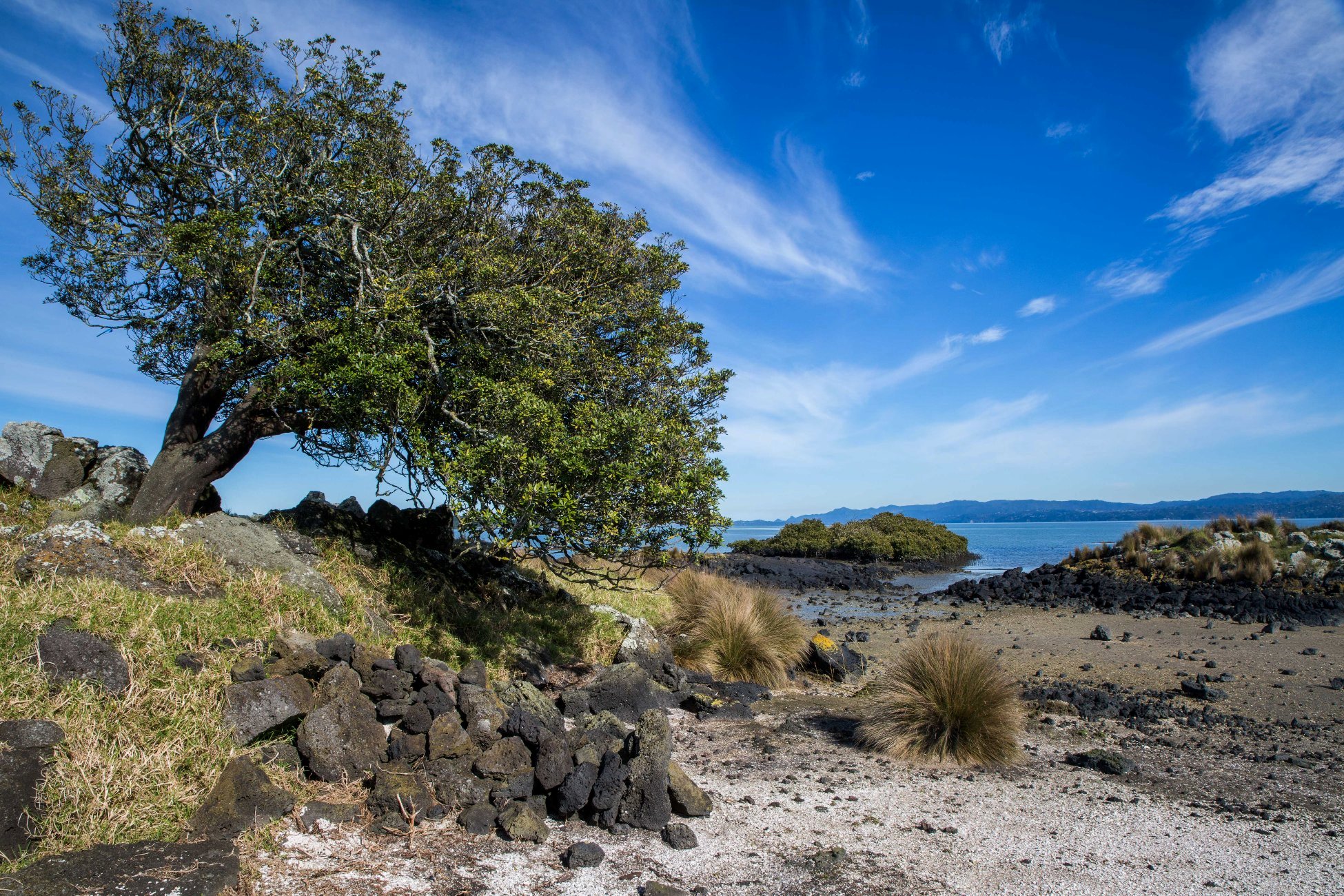 Ambury Regional  Park,-6159.JPG