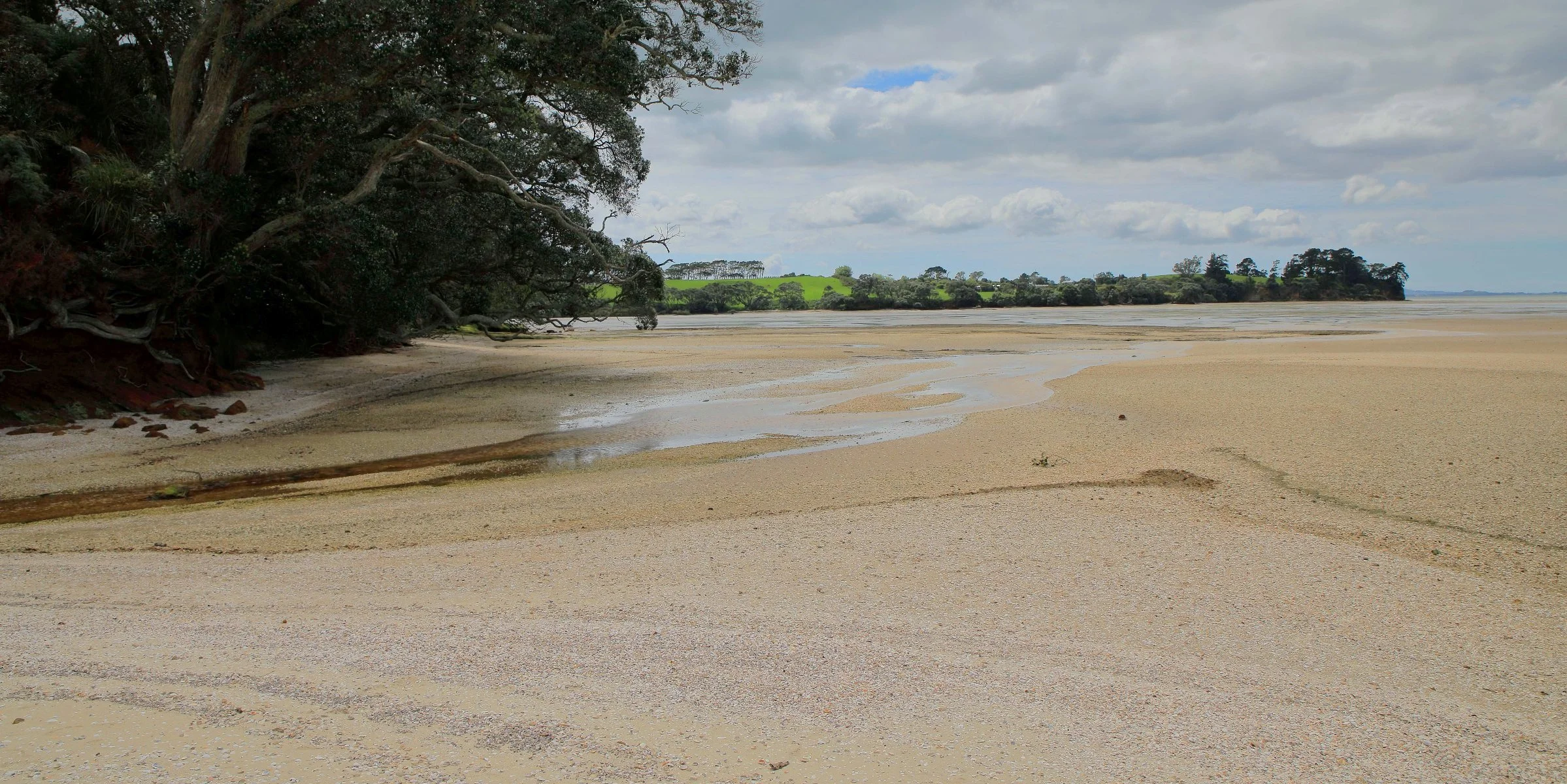 Awhitu Peninsula,Regional Park,-852.JPG