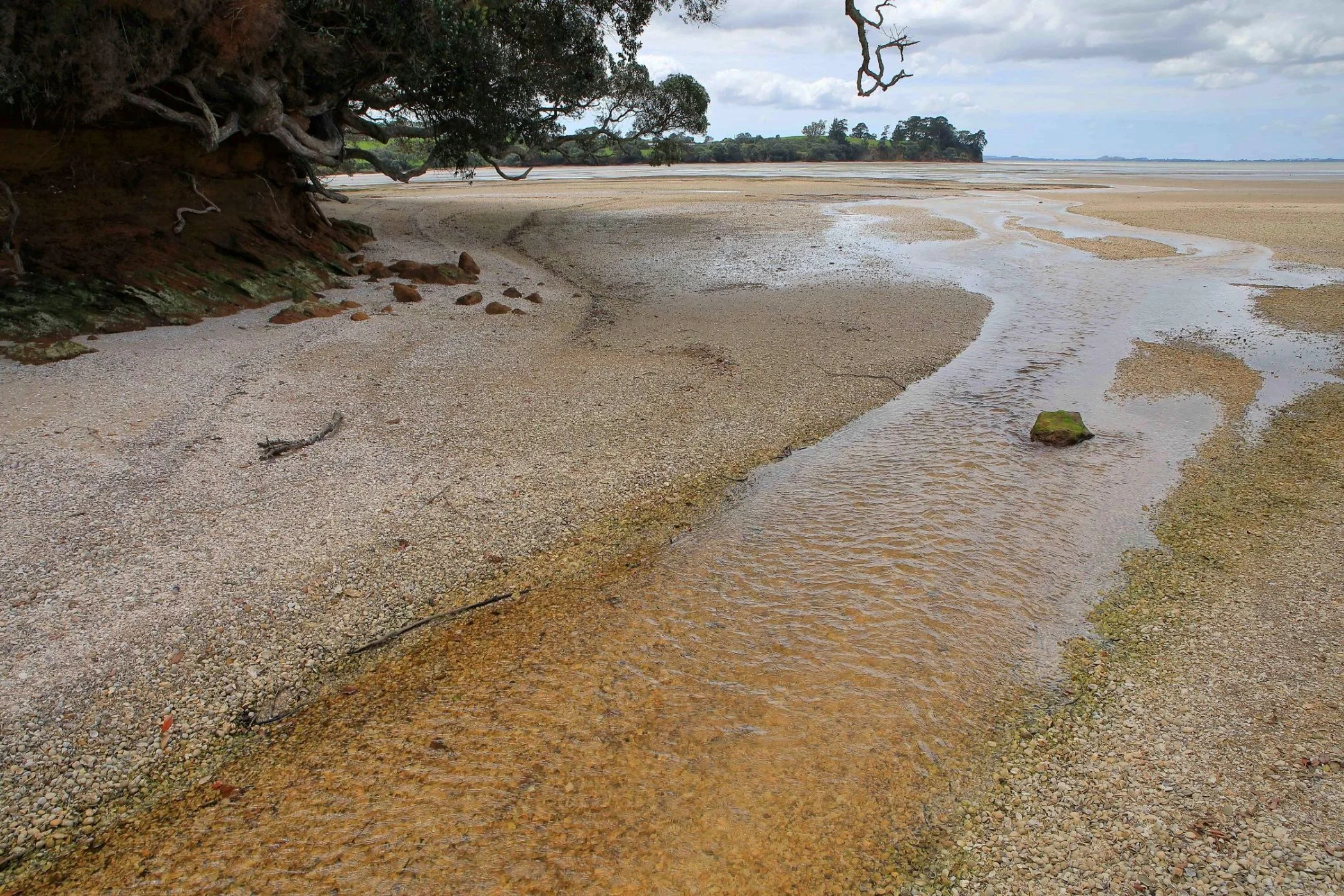 Awhitu Peninsula,Regional Park,-856.JPG