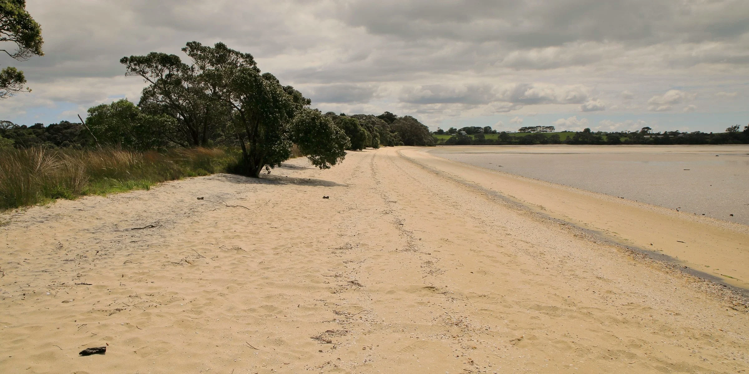 Awhitu Peninsula,Regional Park,-863.JPG