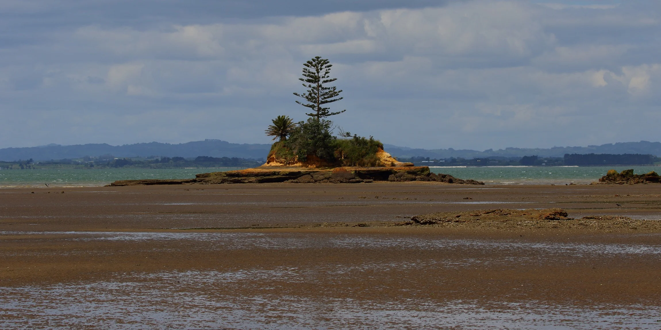 Awhitu Regional Park,-334.JPG