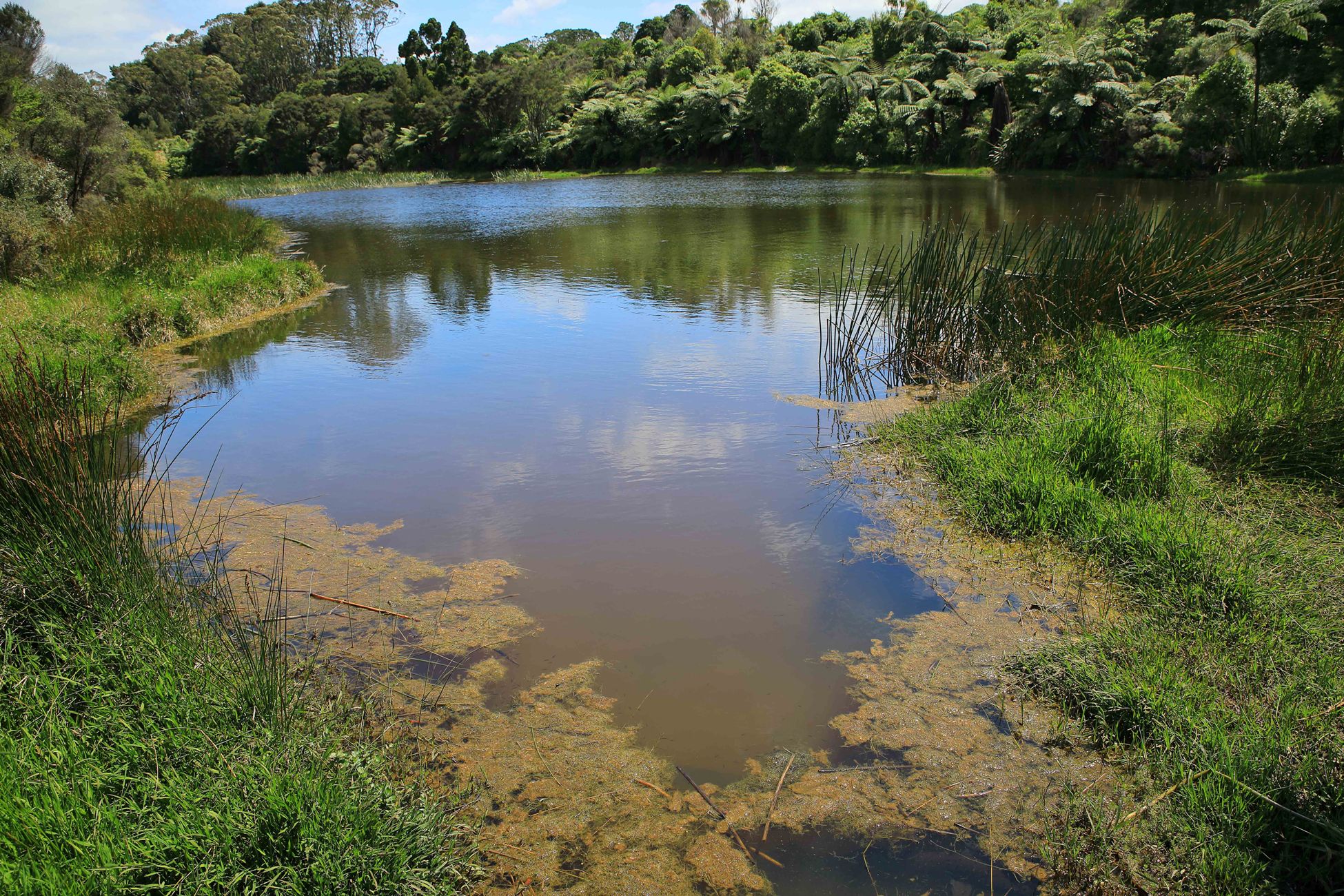 Awhitu Peninsula,Regional Park,-874.JPG