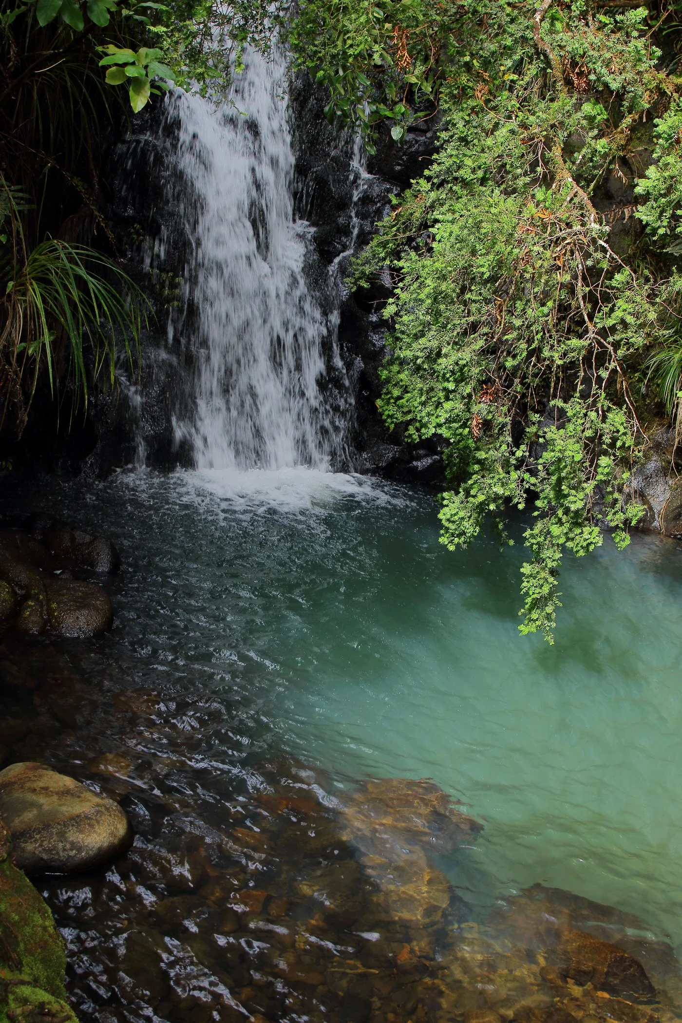 Fairy Falls,-008.JPG