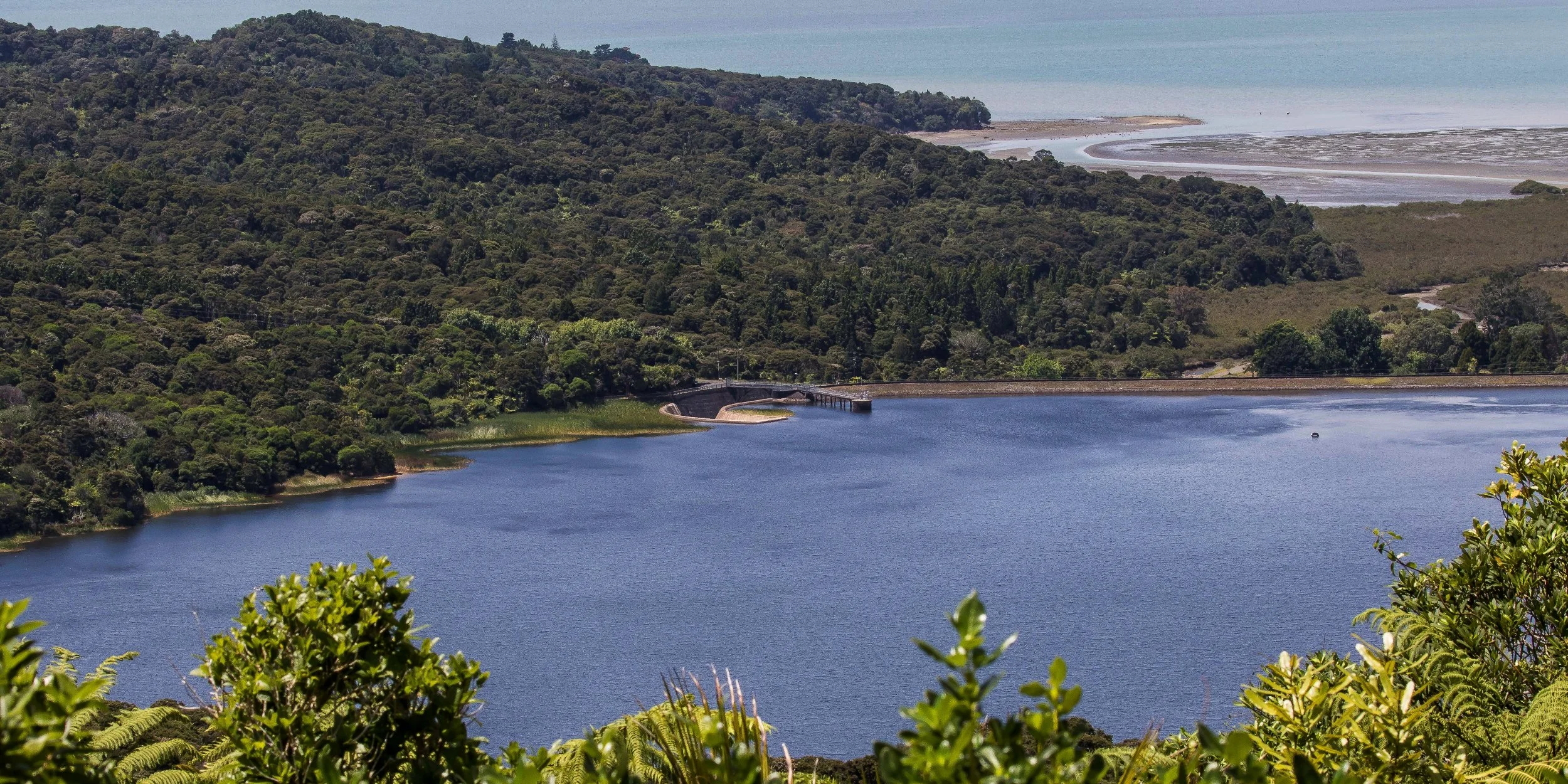 Lower Nihotipu Dam,Big Muddy Creek,-137.JPG