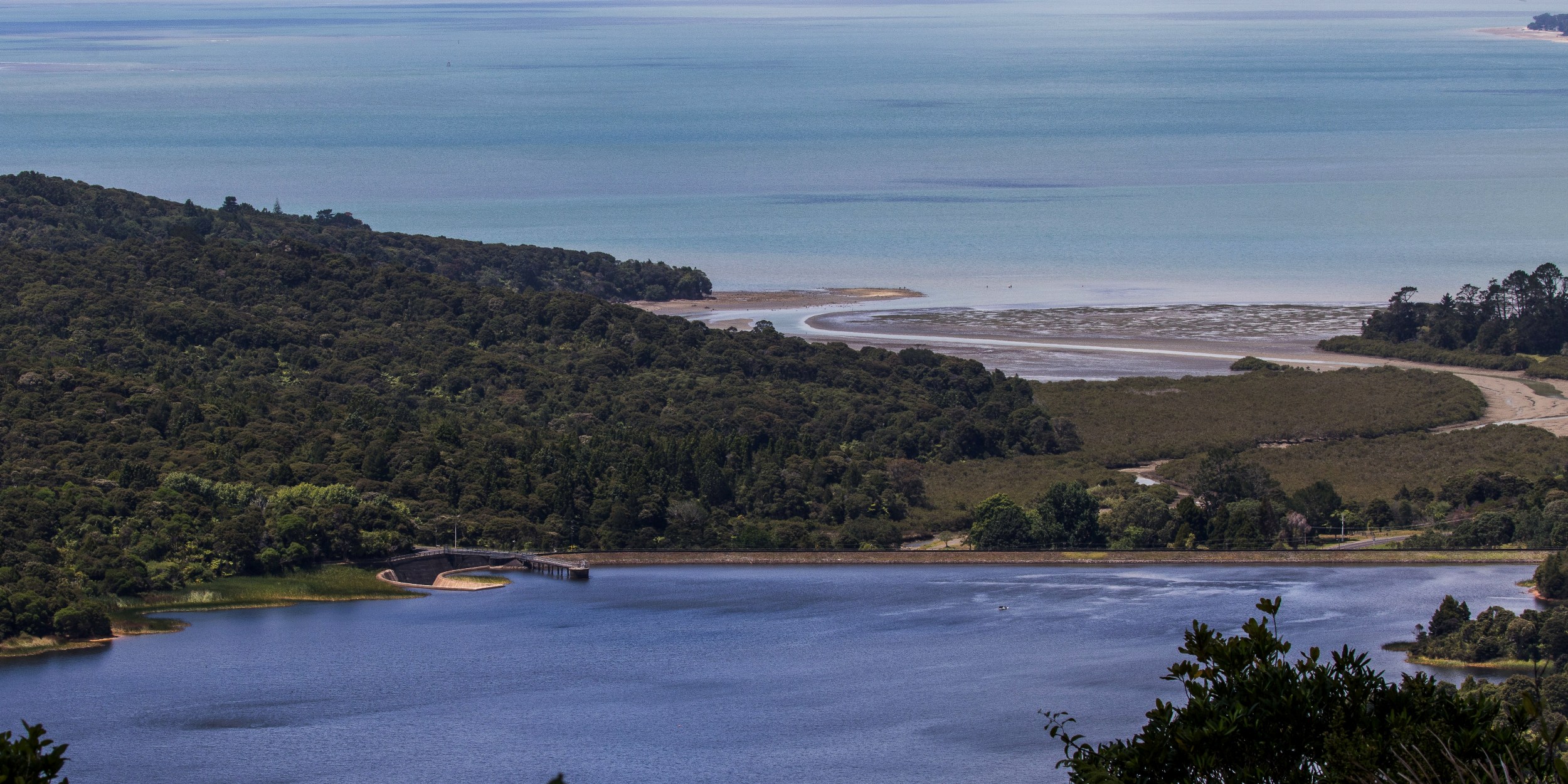 Lower Nihotipu Dam,Big Muddy Creek,-140.JPG