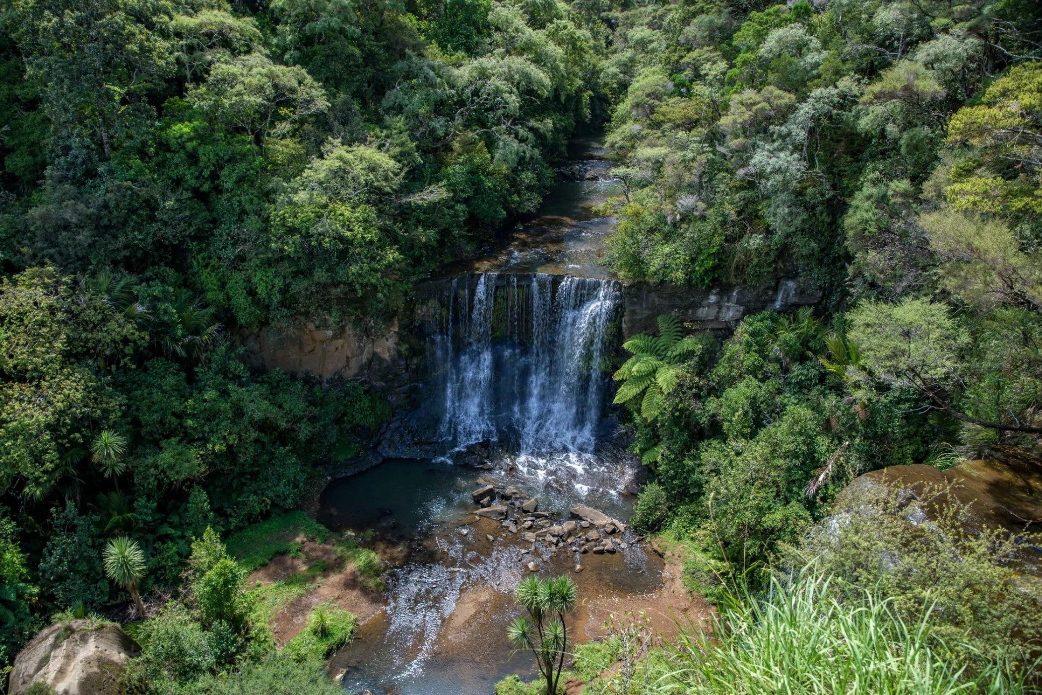 Mokoroa Falls,-677.JPG