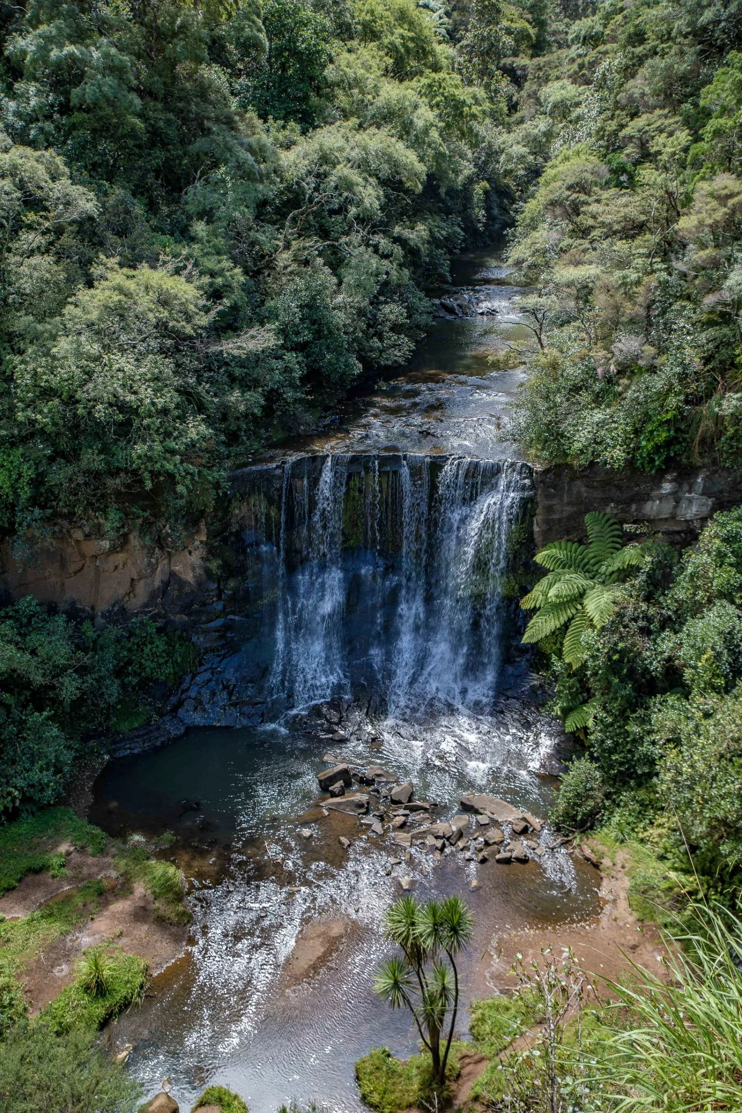 Mokoroa Falls,-676.JPG