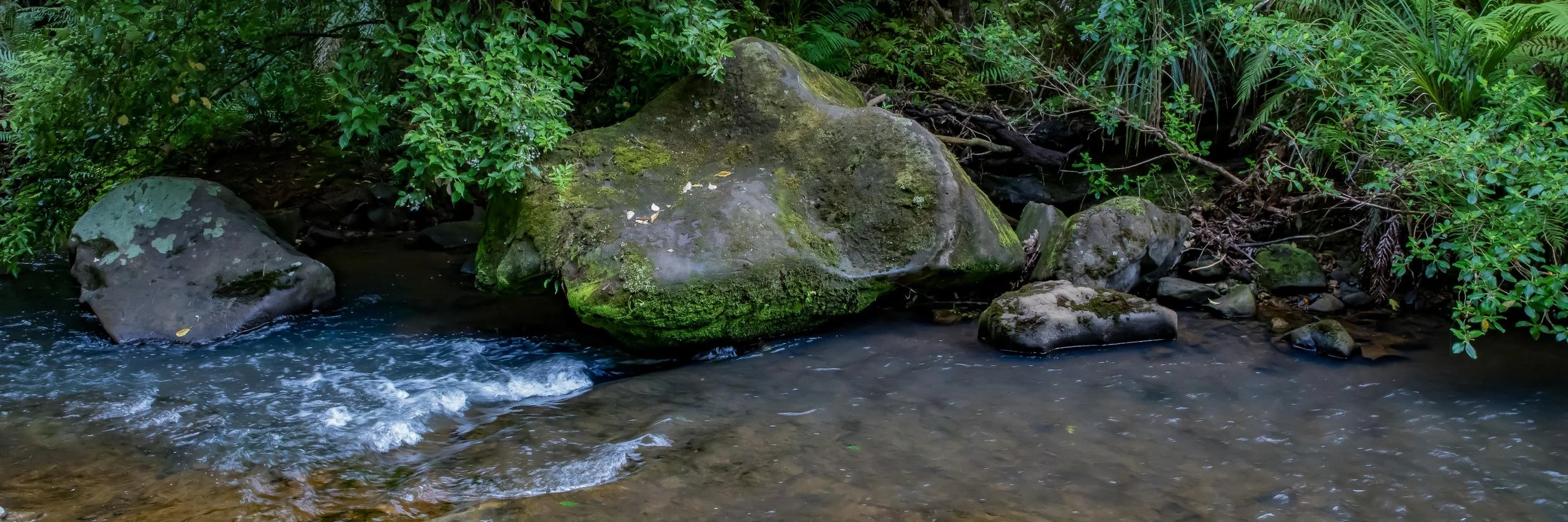 Mokoroa Falls,-685.JPG