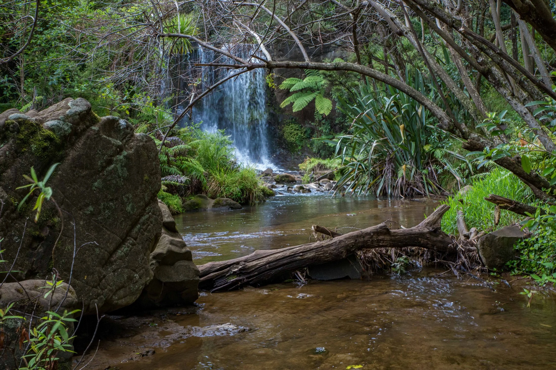 Mokoroa Falls,-686.JPG