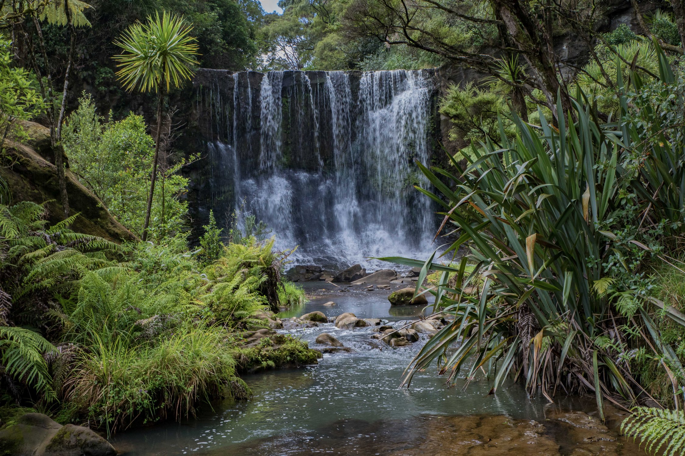 Mokoroa Falls,-688.JPG