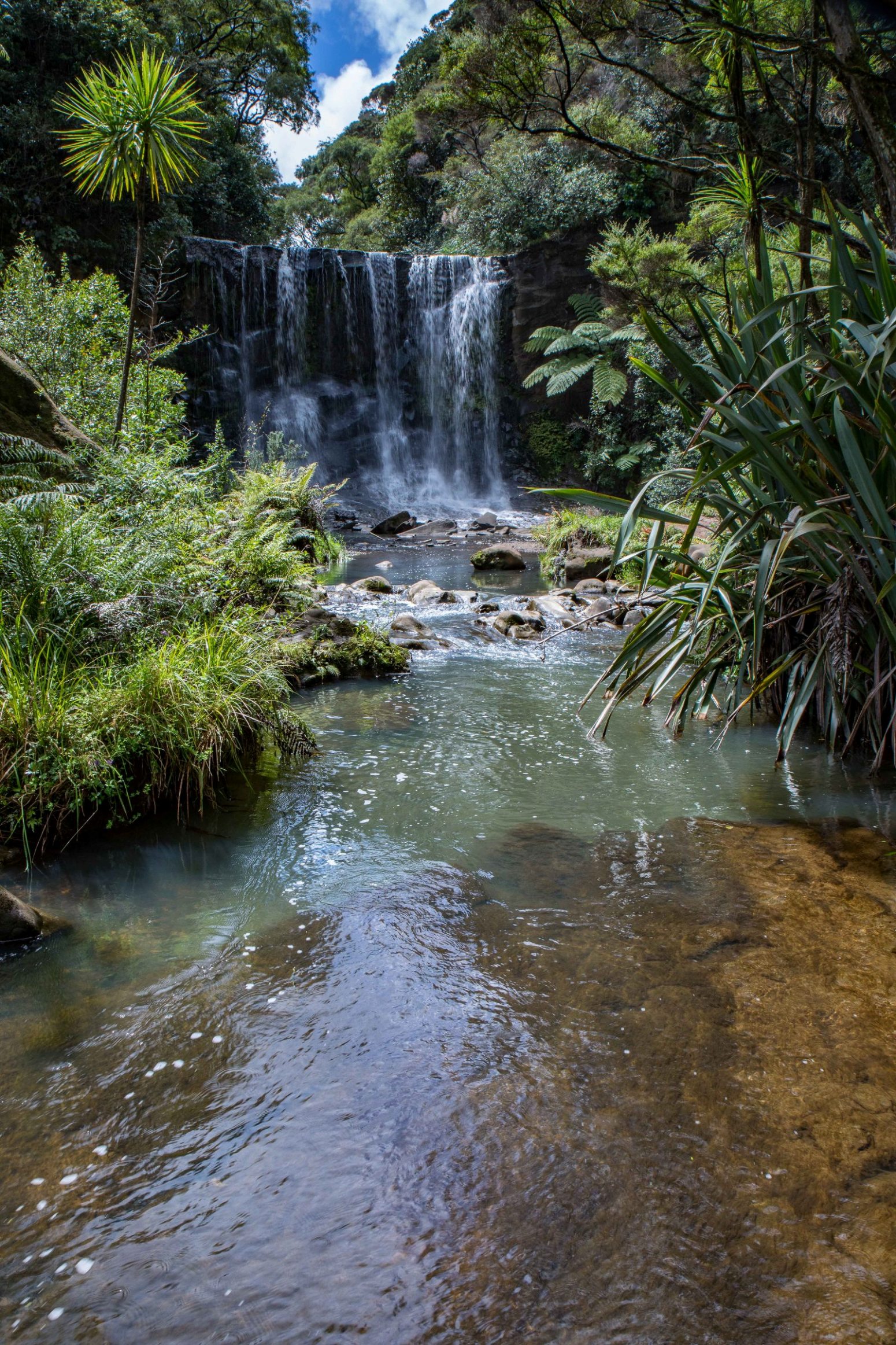 Mokoroa Falls,-693.JPG