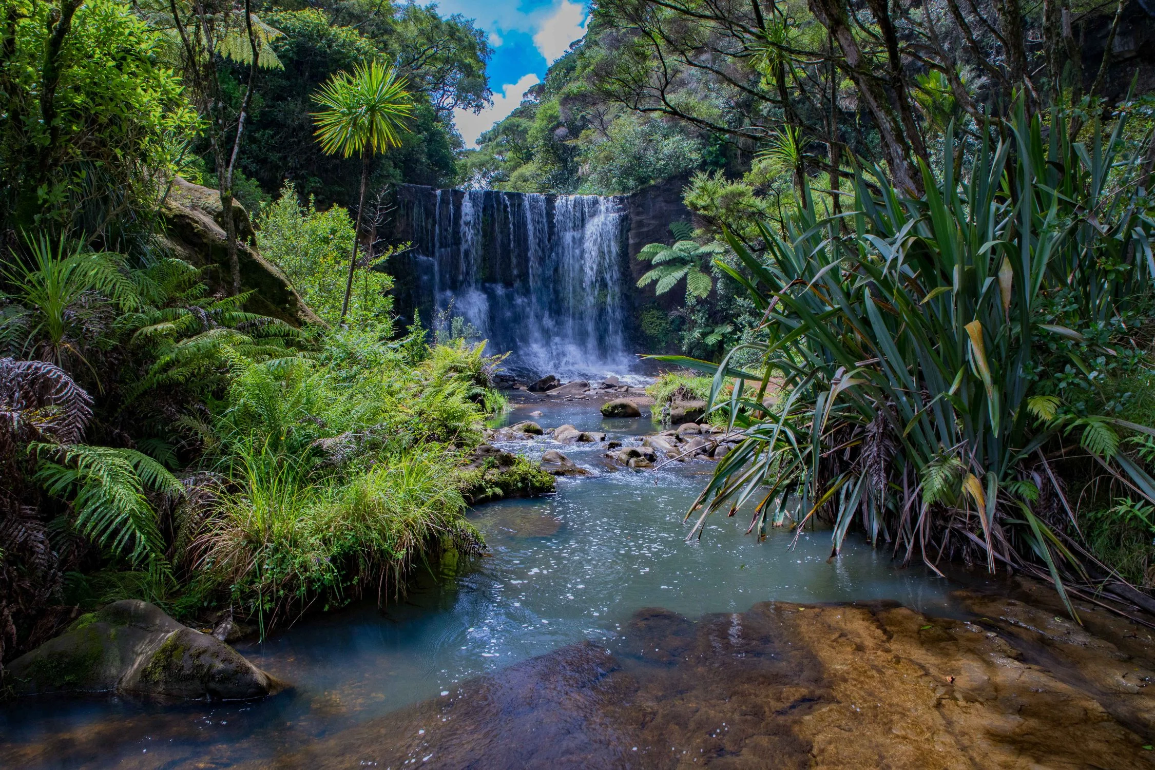 Mokoroa Falls,-694.JPG
